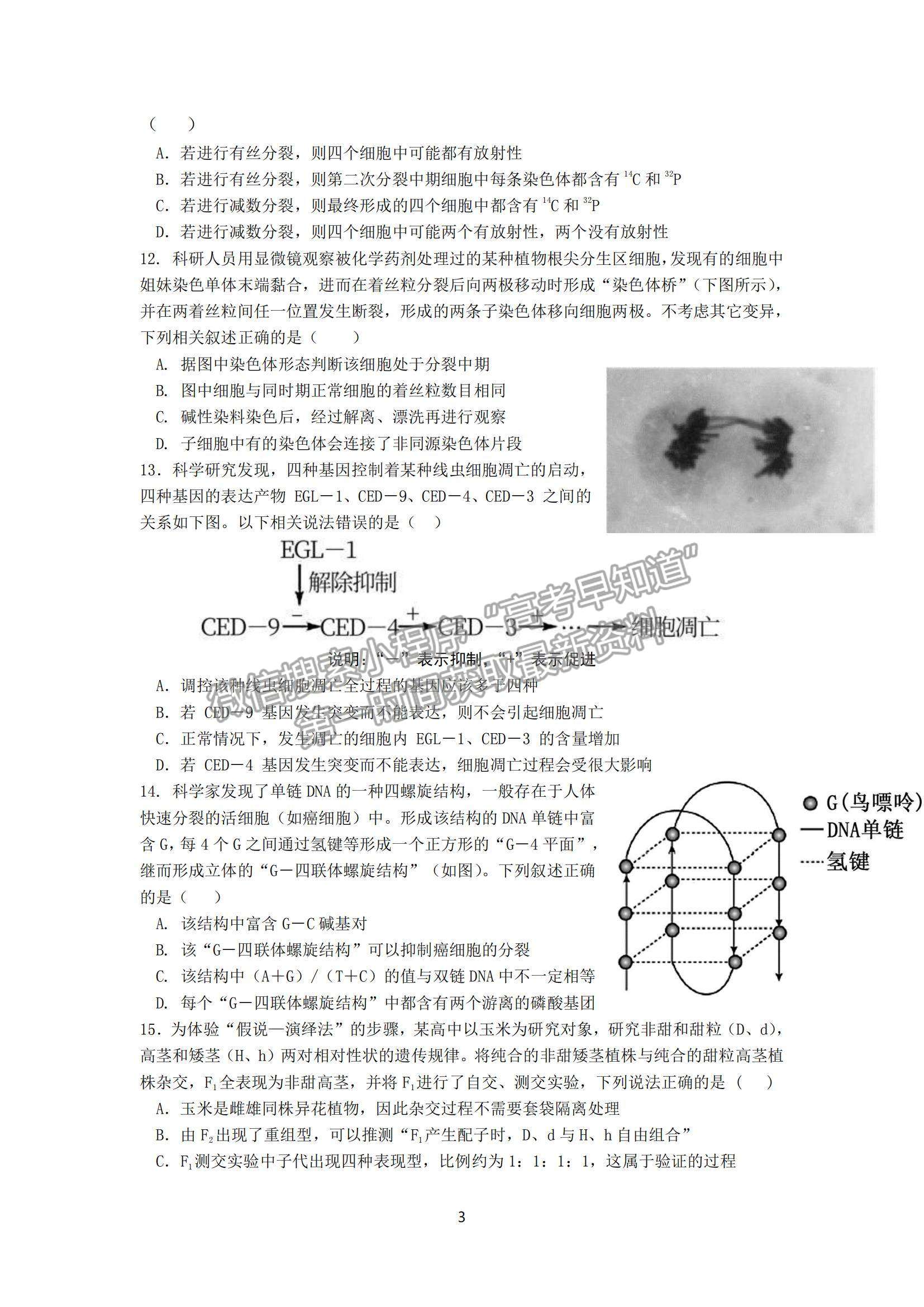 2022福州市八縣（市、區(qū)）一中高三上學(xué)期期中聯(lián)考生物試題及參考答案