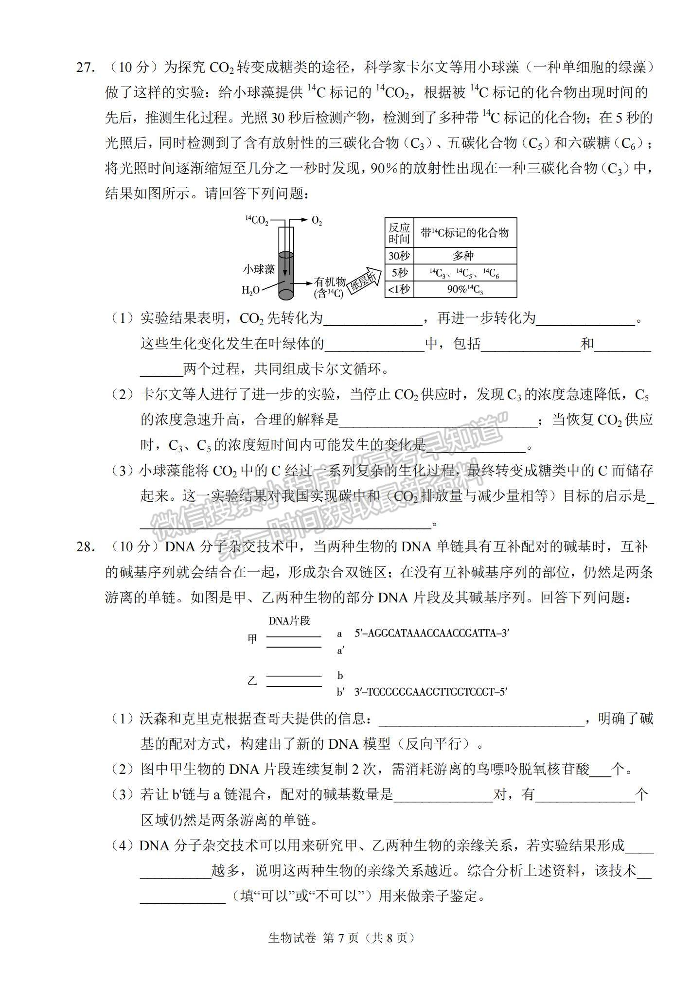 2022新疆高三11月聯(lián)考生物試題及參考答案