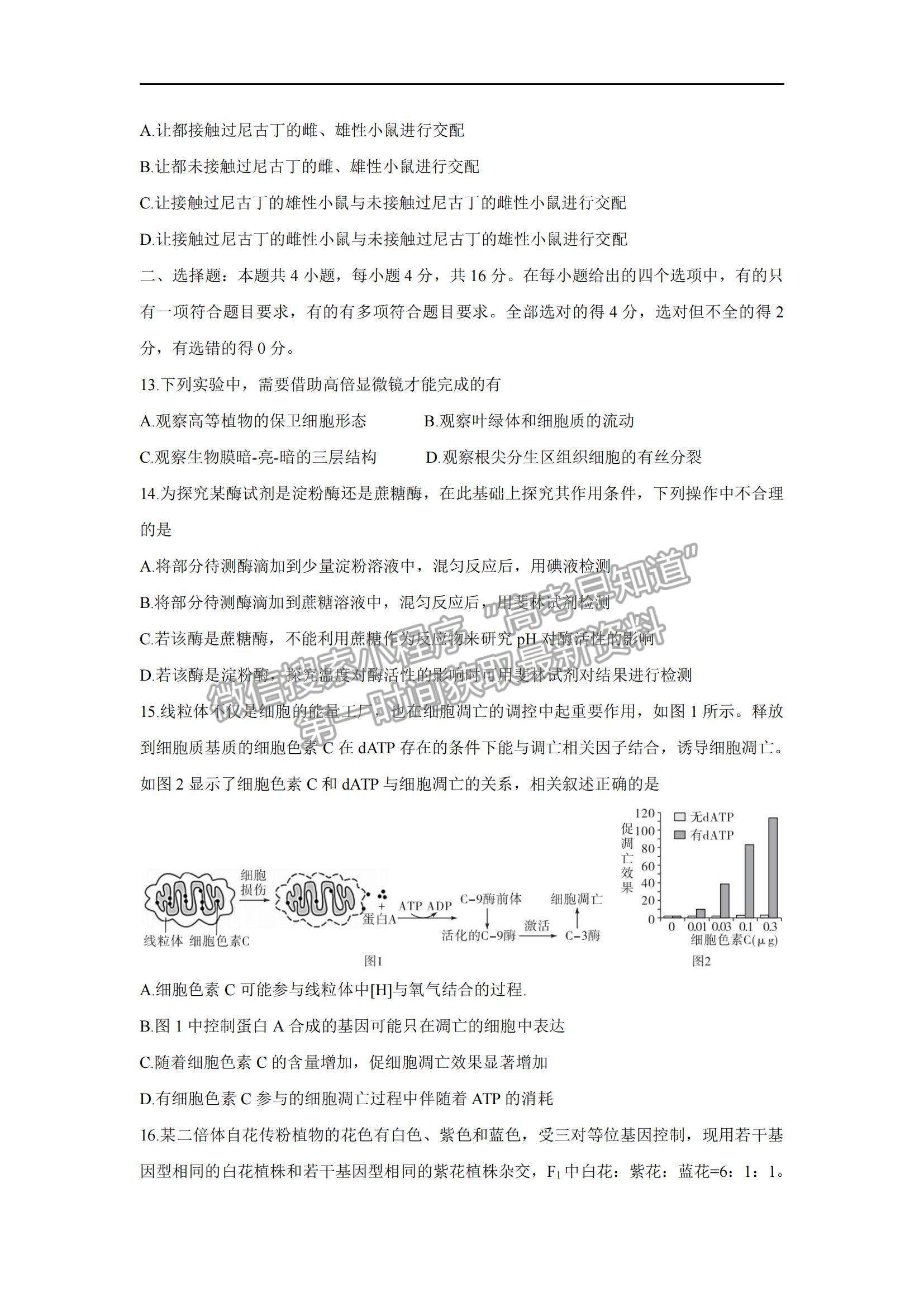 2022湖南省三湘名校、五市十校教研教改共同體高三上學(xué)期第一次聯(lián)考生物試題及參考答案