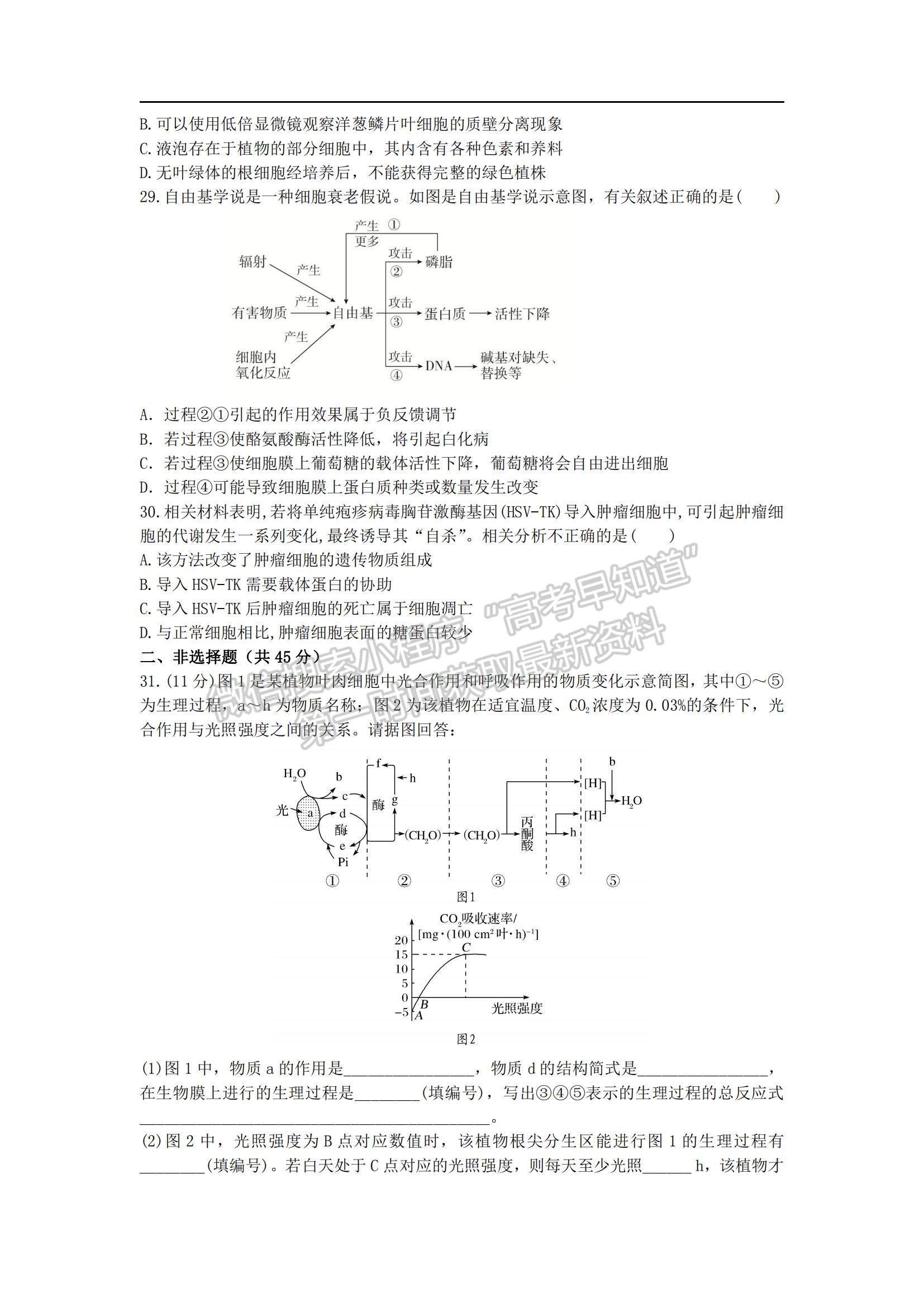 2022重慶八中高三上學(xué)期期中考試生物試題及參考答案