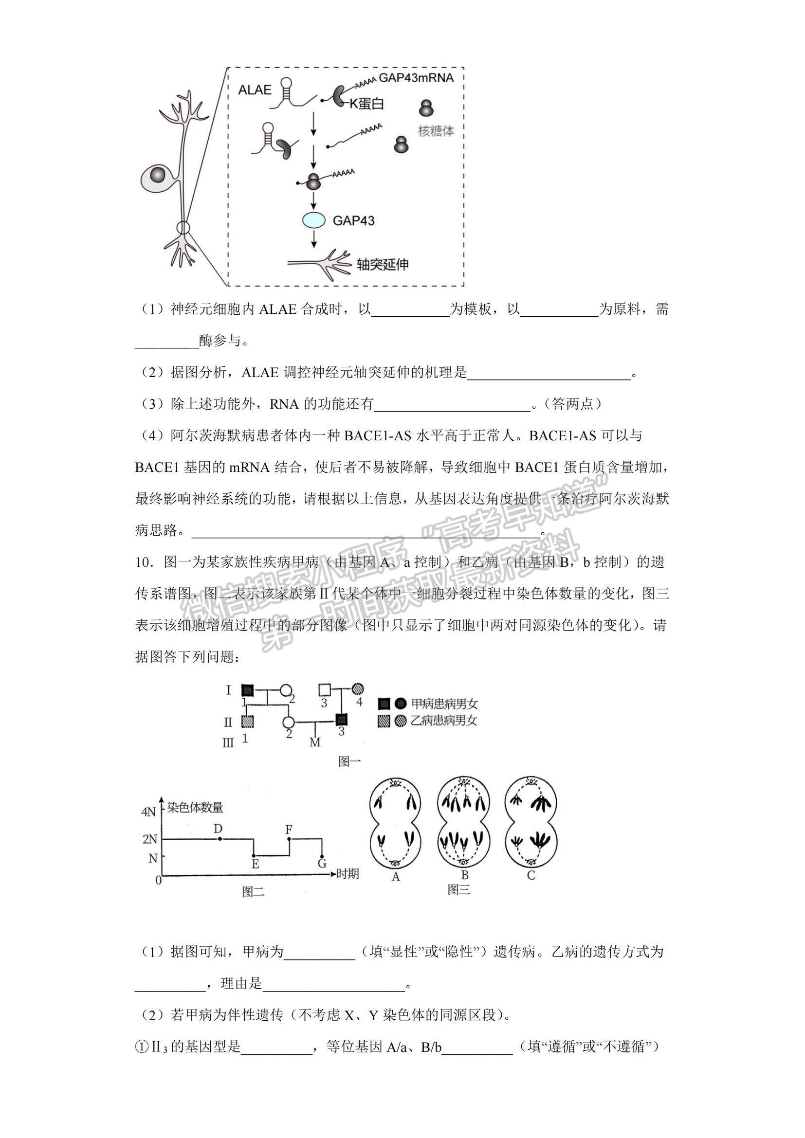 2022新疆莎車縣第一中學(xué)高三上學(xué)期第三次質(zhì)量檢測(cè)生物試題及參考答案