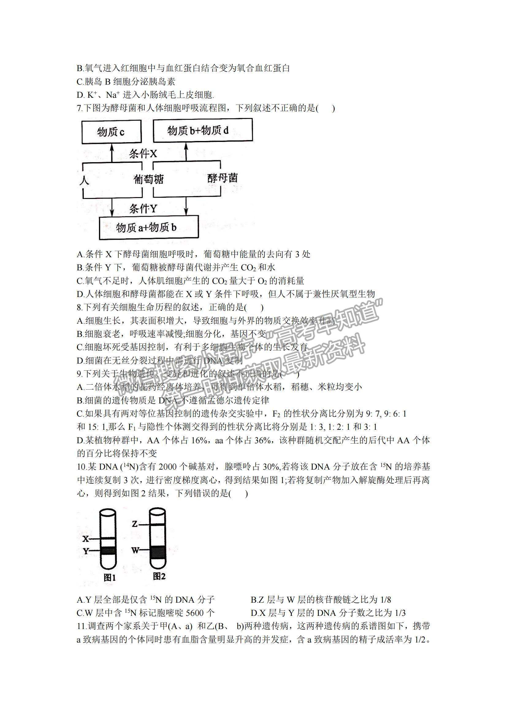 2022河北省邢臺市“五岳聯(lián)盟”部分重點學校高三12月聯(lián)考生物試題及參考答案