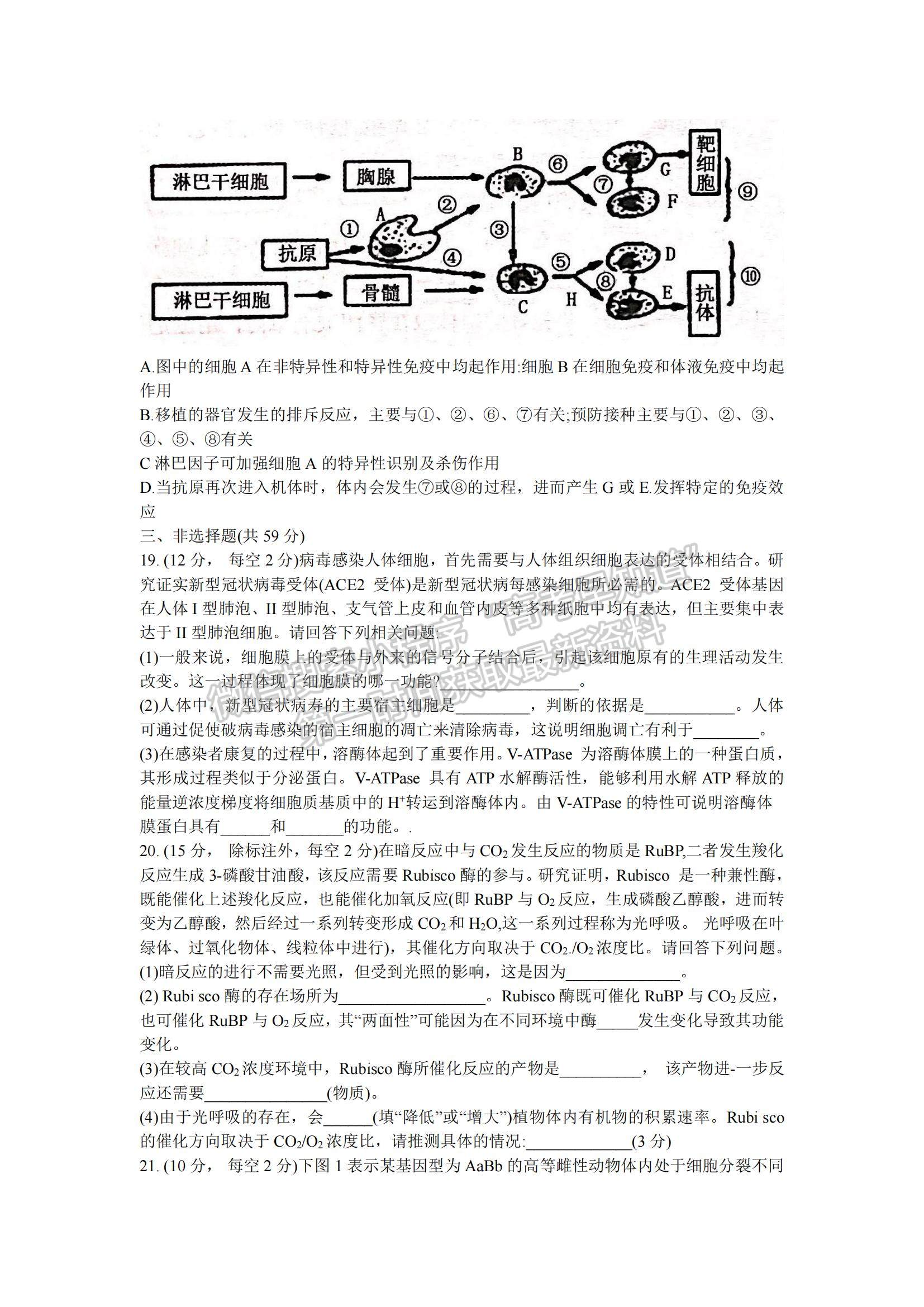 2022河北省邢臺市“五岳聯盟”部分重點學校高三12月聯考生物試題及參考答案