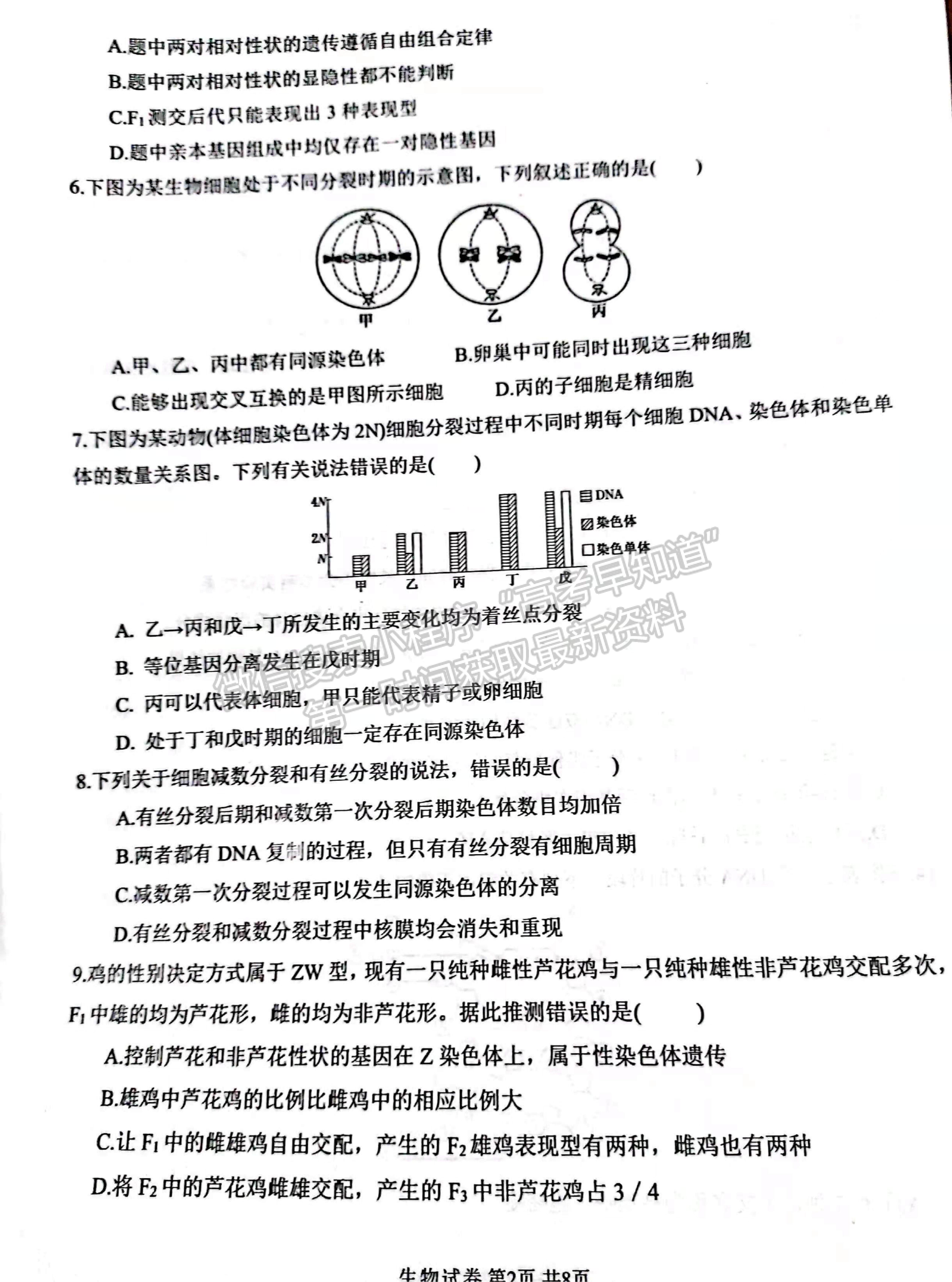 2022河南省濮陽市第一高級中學(xué)高二上學(xué)期期中質(zhì)量檢測生物試題及參考答案