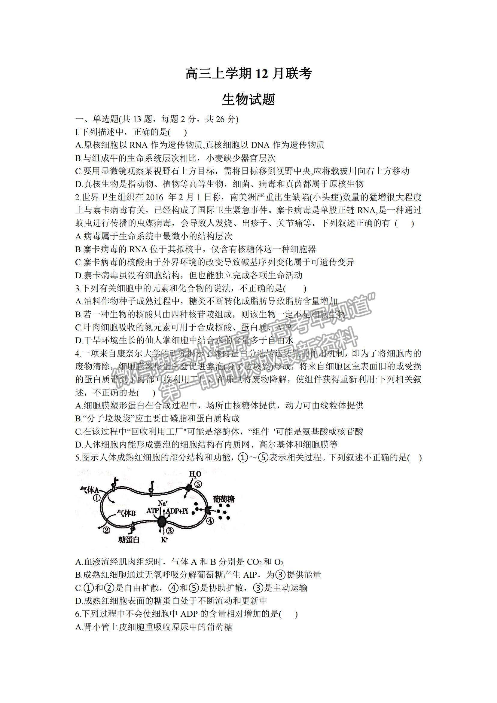 2022河北省邢臺市“五岳聯(lián)盟”部分重點(diǎn)學(xué)校高三12月聯(lián)考生物試題及參考答案