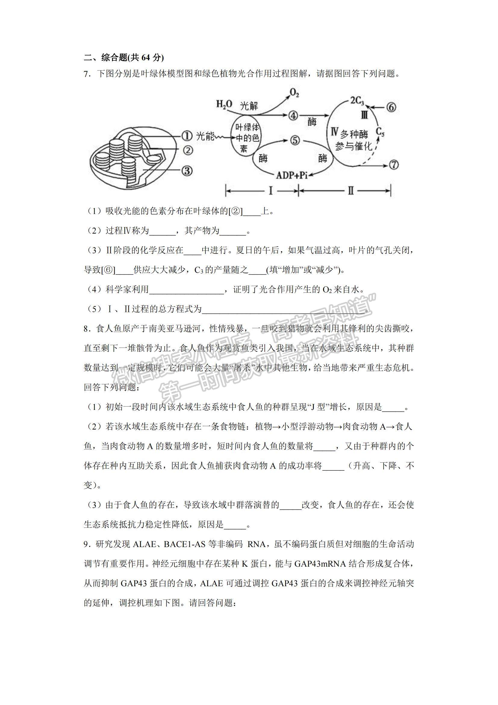 2022新疆莎車縣第一中學(xué)高三上學(xué)期第三次質(zhì)量檢測生物試題及參考答案