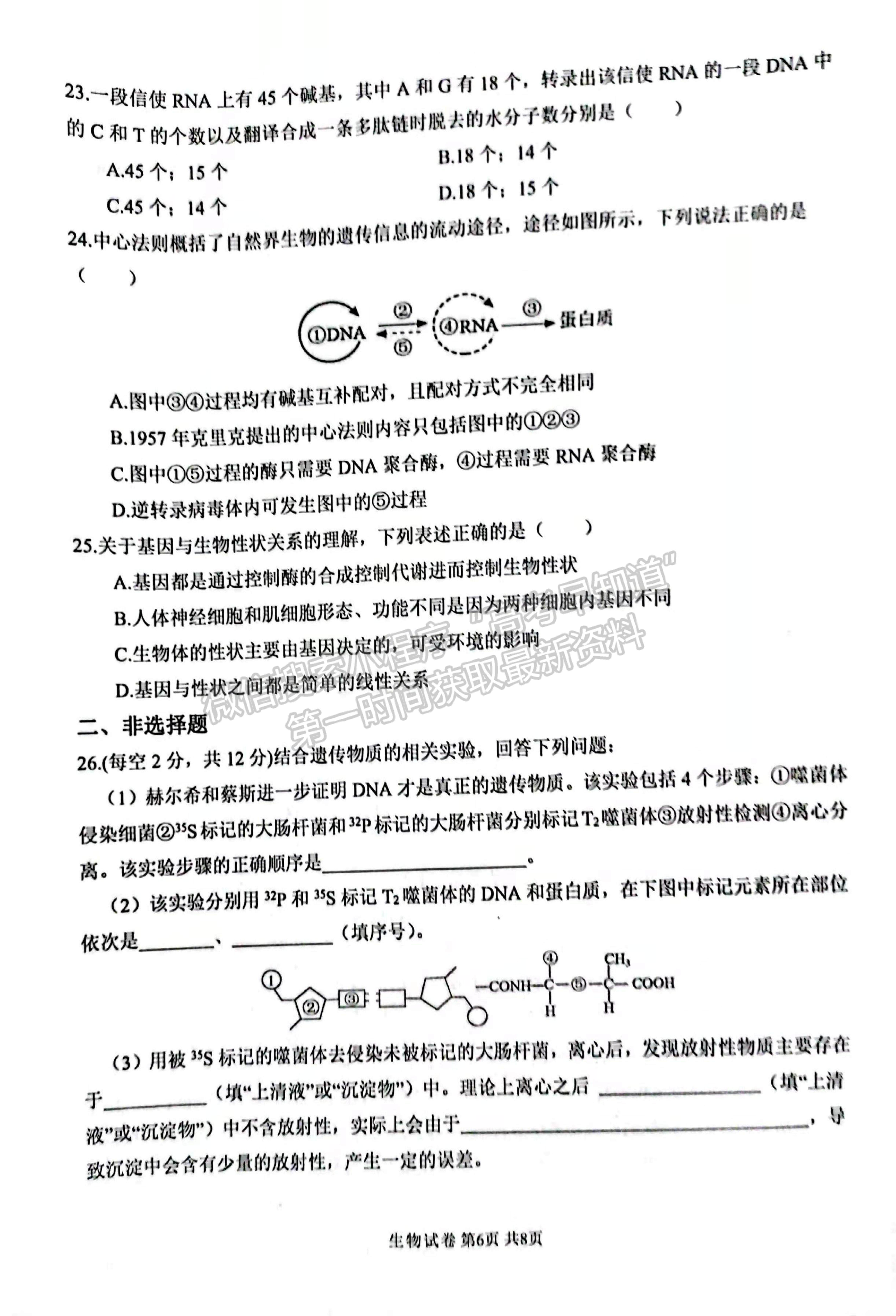 2022河南省濮陽(yáng)市第一高級(jí)中學(xué)高二上學(xué)期期中質(zhì)量檢測(cè)生物試題及參考答案