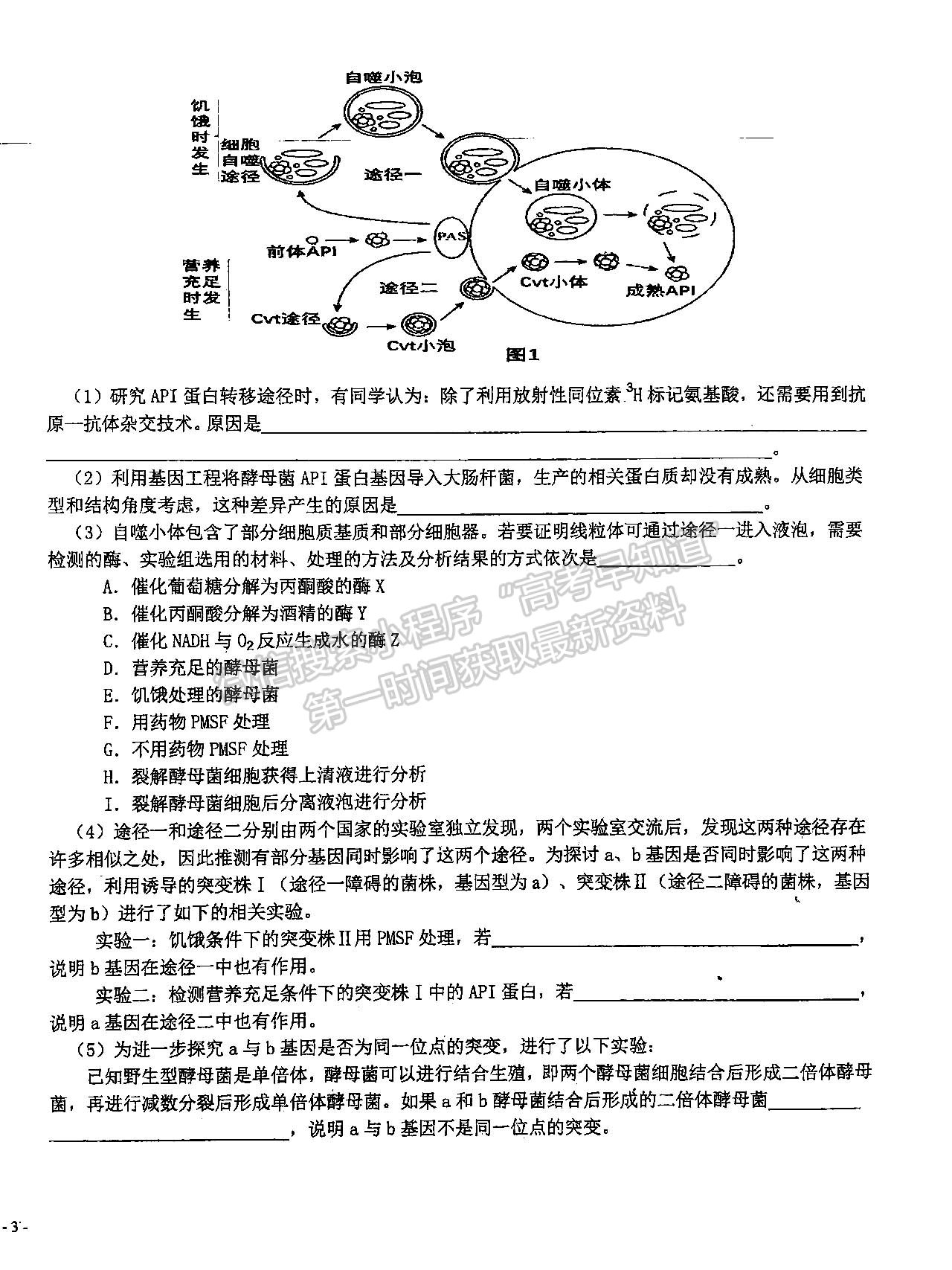 2022屆湖北十一校第一次聯(lián)考生物試卷及答案