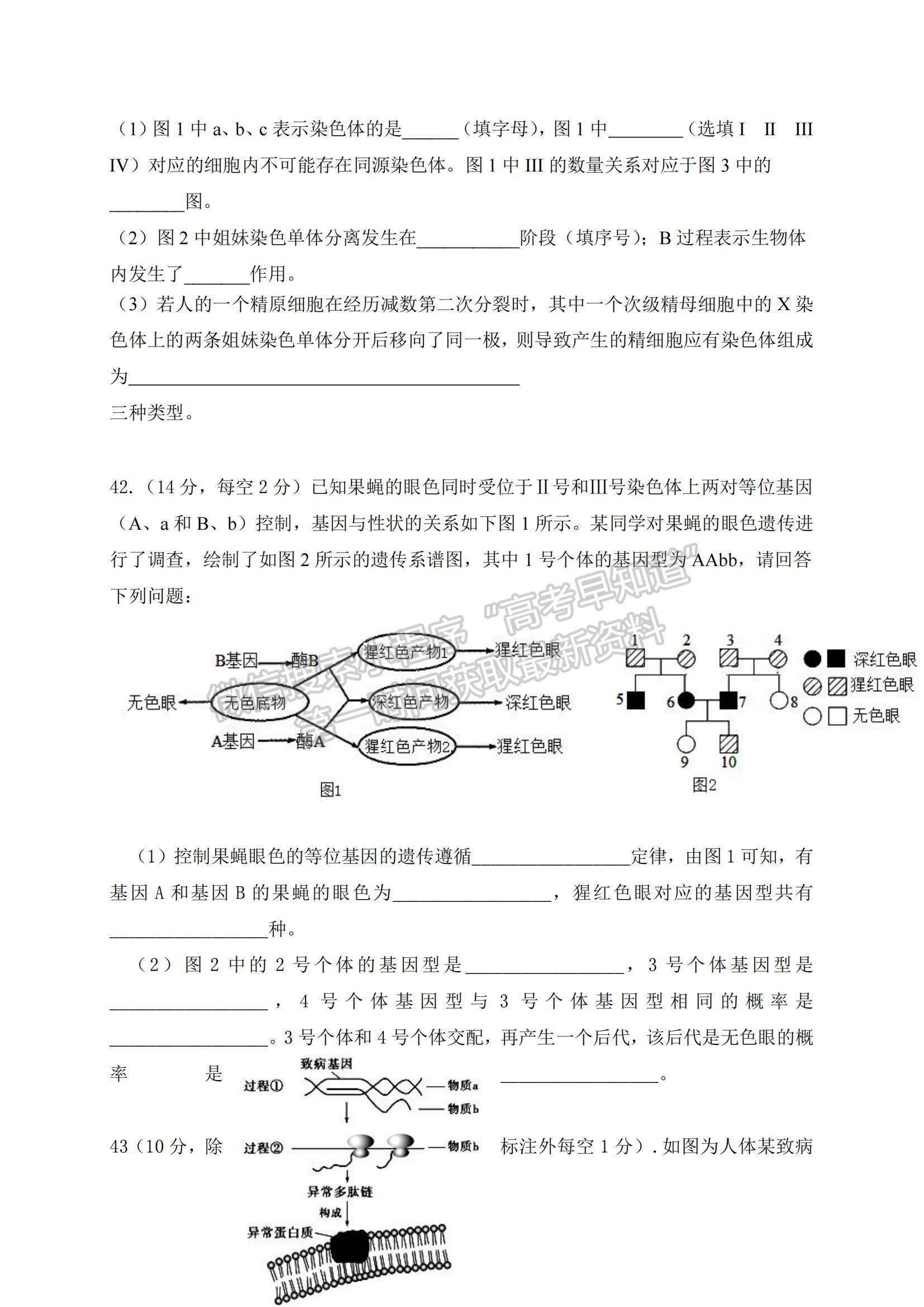 2022四川省涼山寧南中學(xué)高二上學(xué)期開學(xué)考試生物試題及參考答案