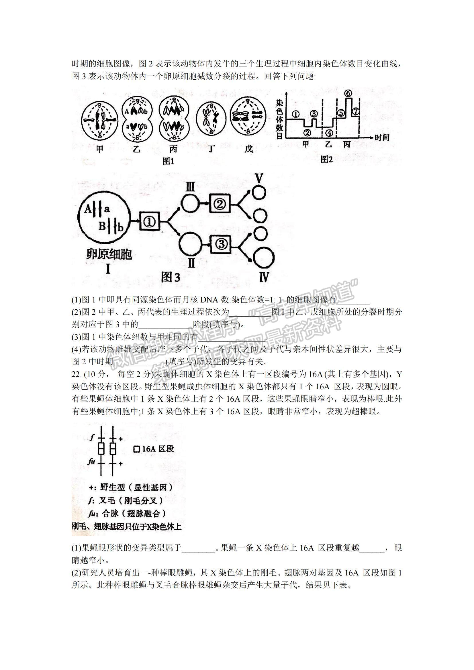 2022河北省邢臺市“五岳聯(lián)盟”部分重點學(xué)校高三12月聯(lián)考生物試題及參考答案