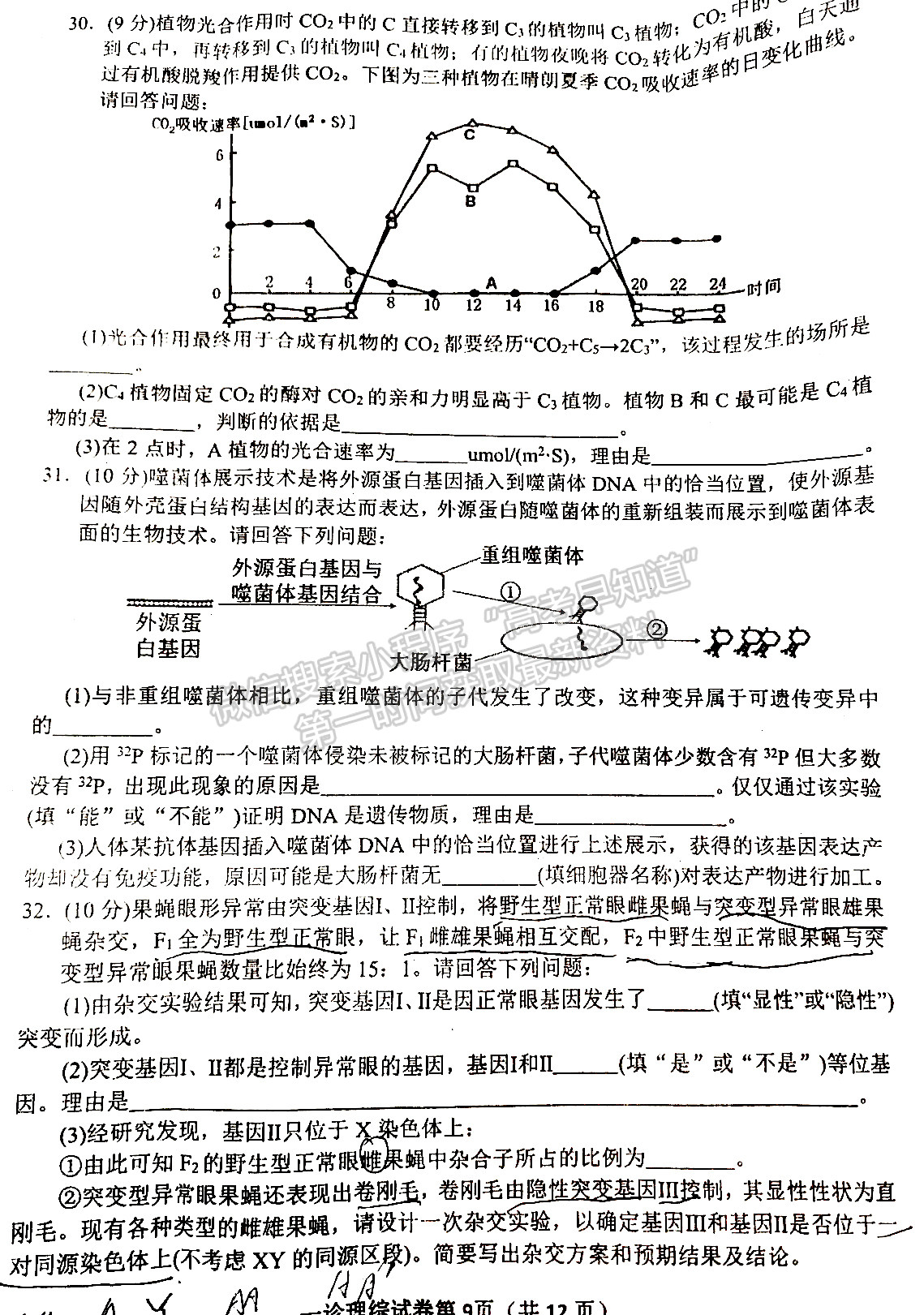 2022四川省達州市普通高中2022屆第一次診斷性考試理科綜合試題及答案