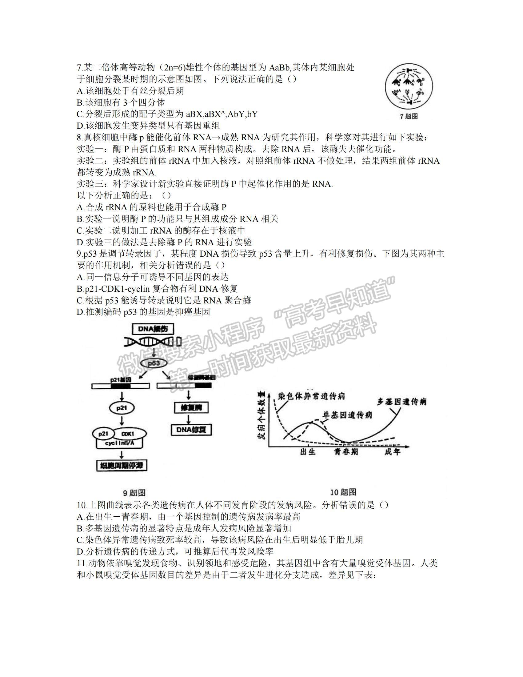 2022廣東省四校高三上學期第一次聯考生物試題及參考答案