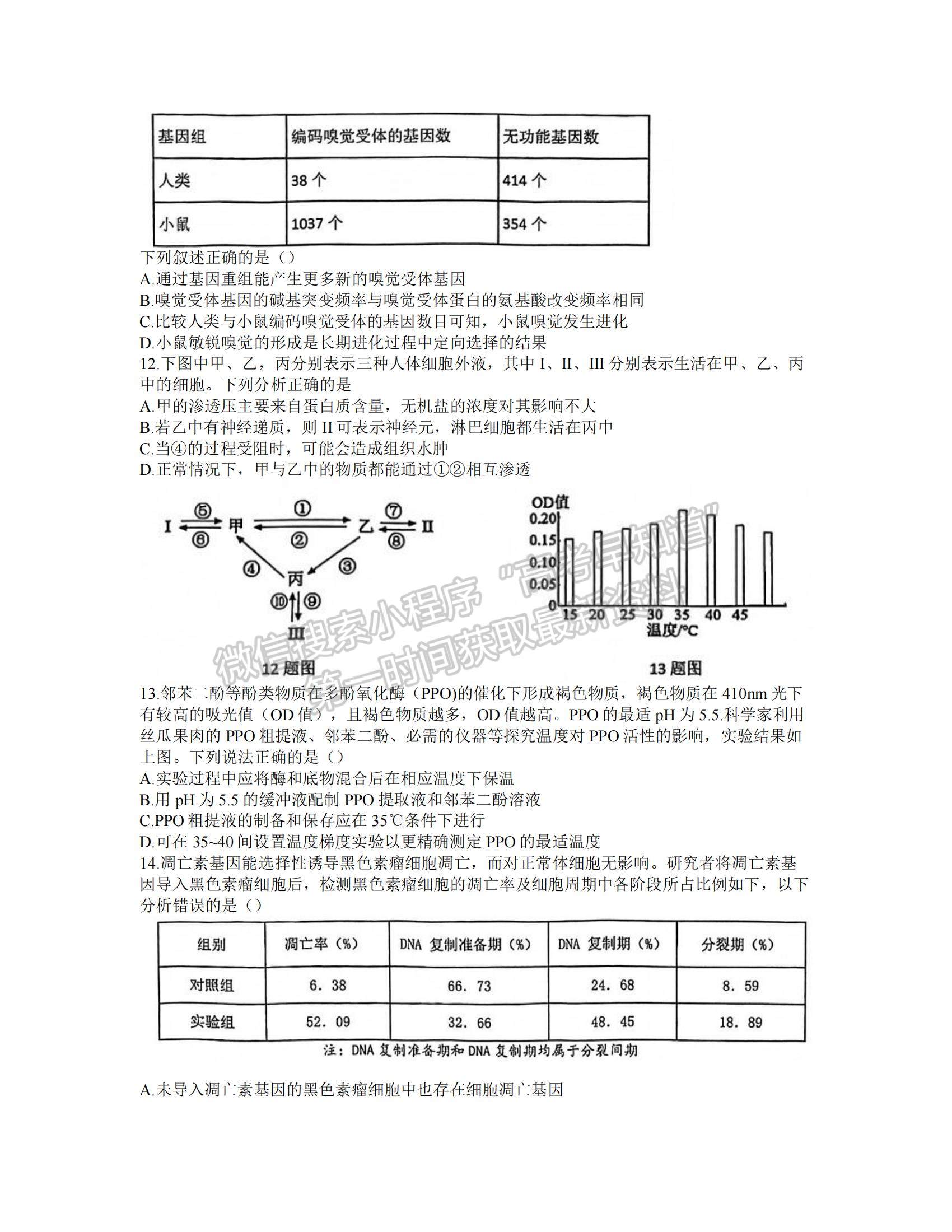 2022廣東省四校高三上學期第一次聯考生物試題及參考答案