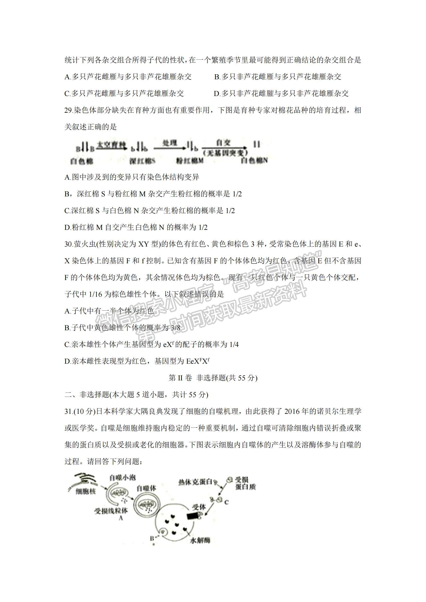 2022江西省七校高三上學(xué)期第一次聯(lián)考生物試題及參考答案