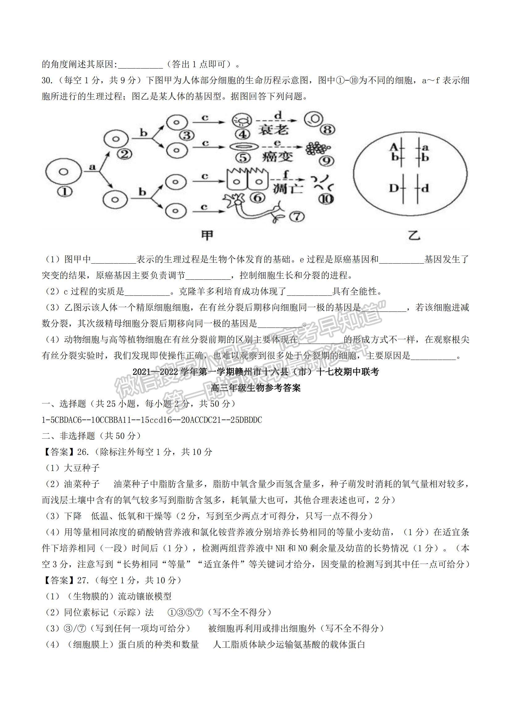 2022江西省贛州市（十六縣）（市）十七校高三上學(xué)期期中聯(lián)考生物試題及參考答案