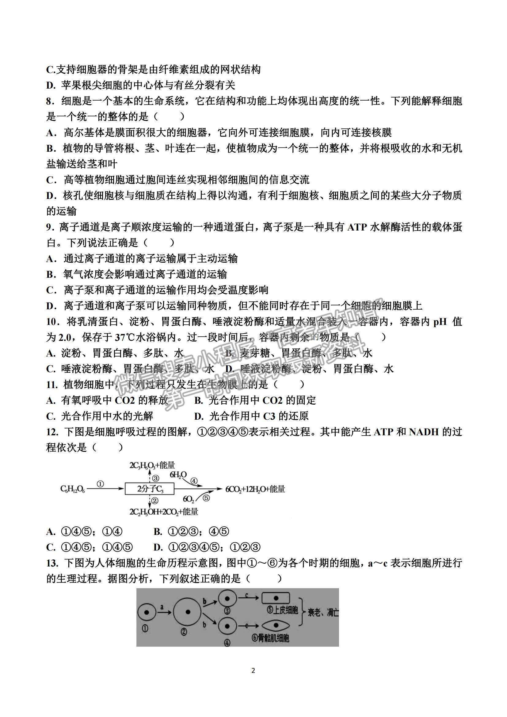 2022安徽省滁州市定遠縣民族中學(xué)高二上學(xué)期質(zhì)量檢測生物試題及參考答案