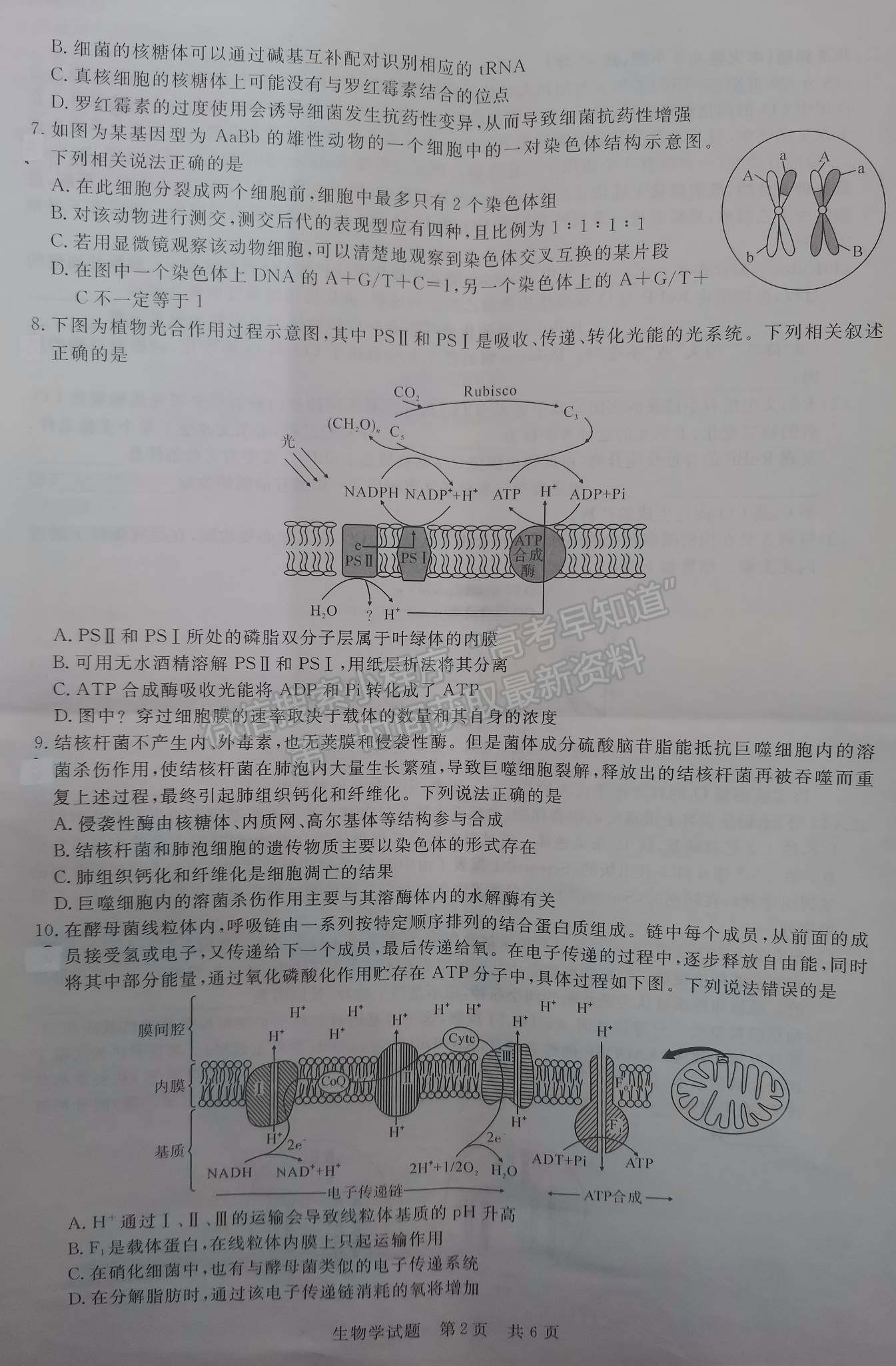 2022荊州一檢/六縣市12月聯(lián)考生物試卷及答案