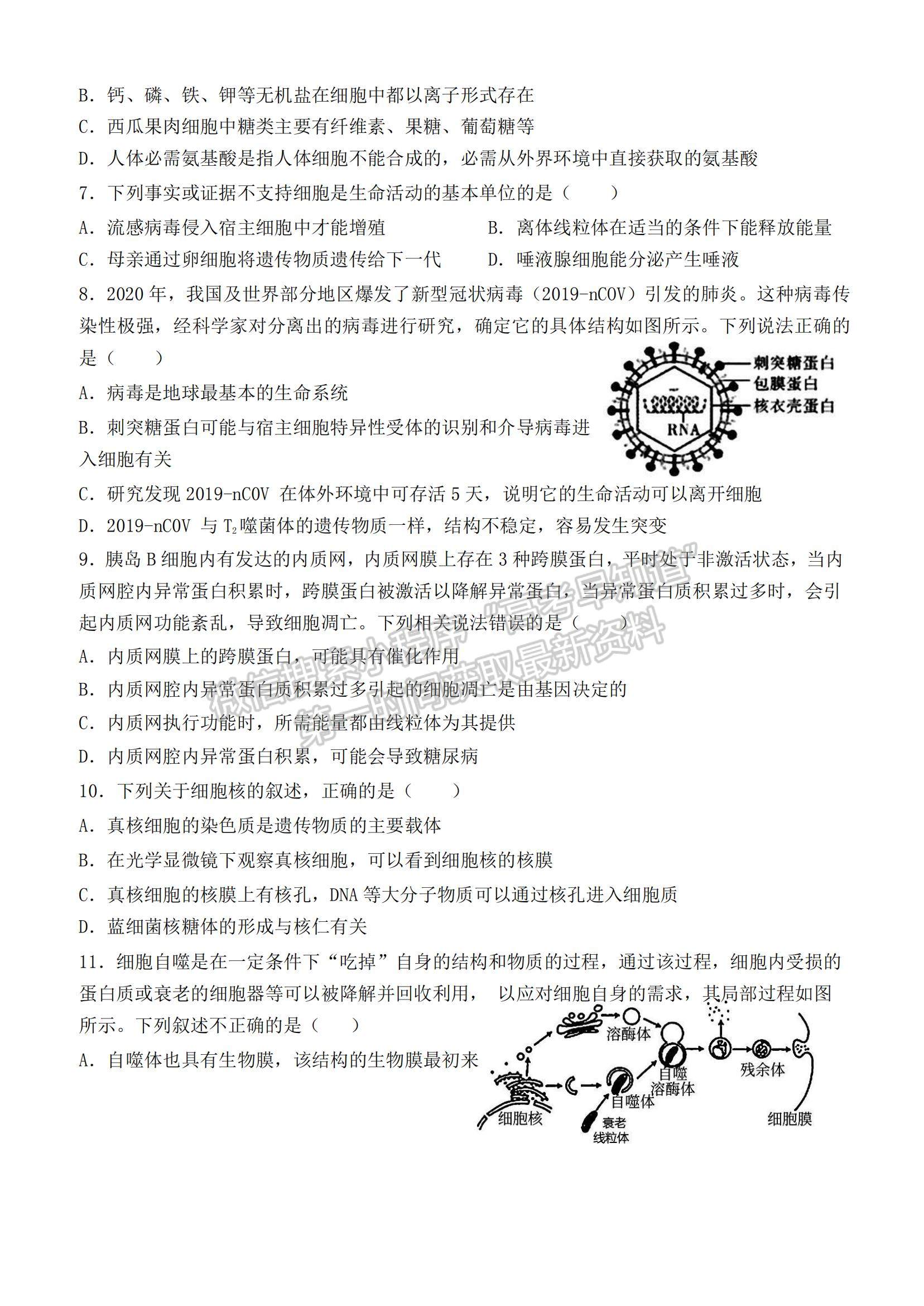 2022黑龍江省哈爾濱德強學(xué)校高三上學(xué)期期中考試生物試題及參考答案