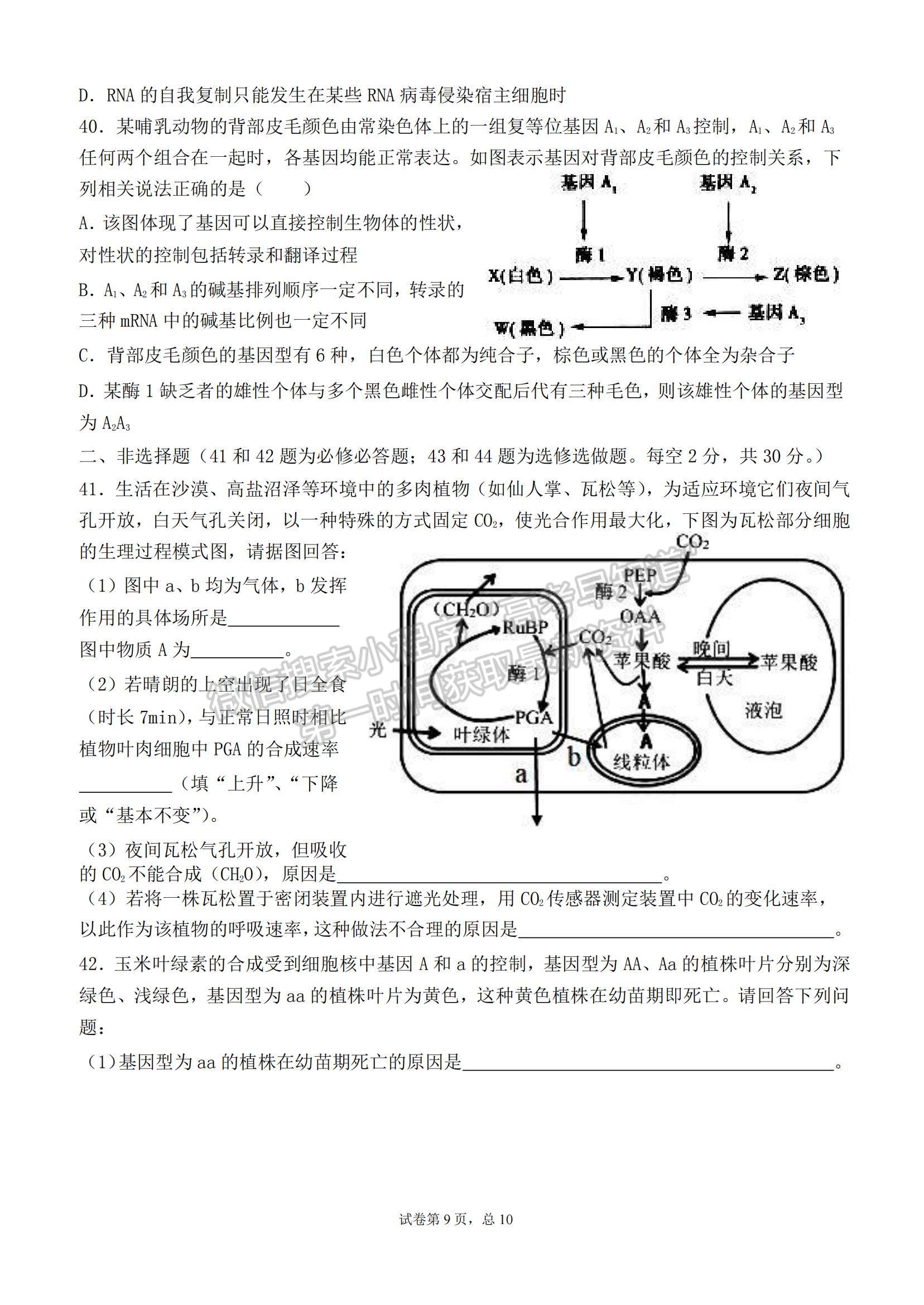 2022黑龍江省哈爾濱德強(qiáng)學(xué)校高三上學(xué)期期中考試生物試題及參考答案