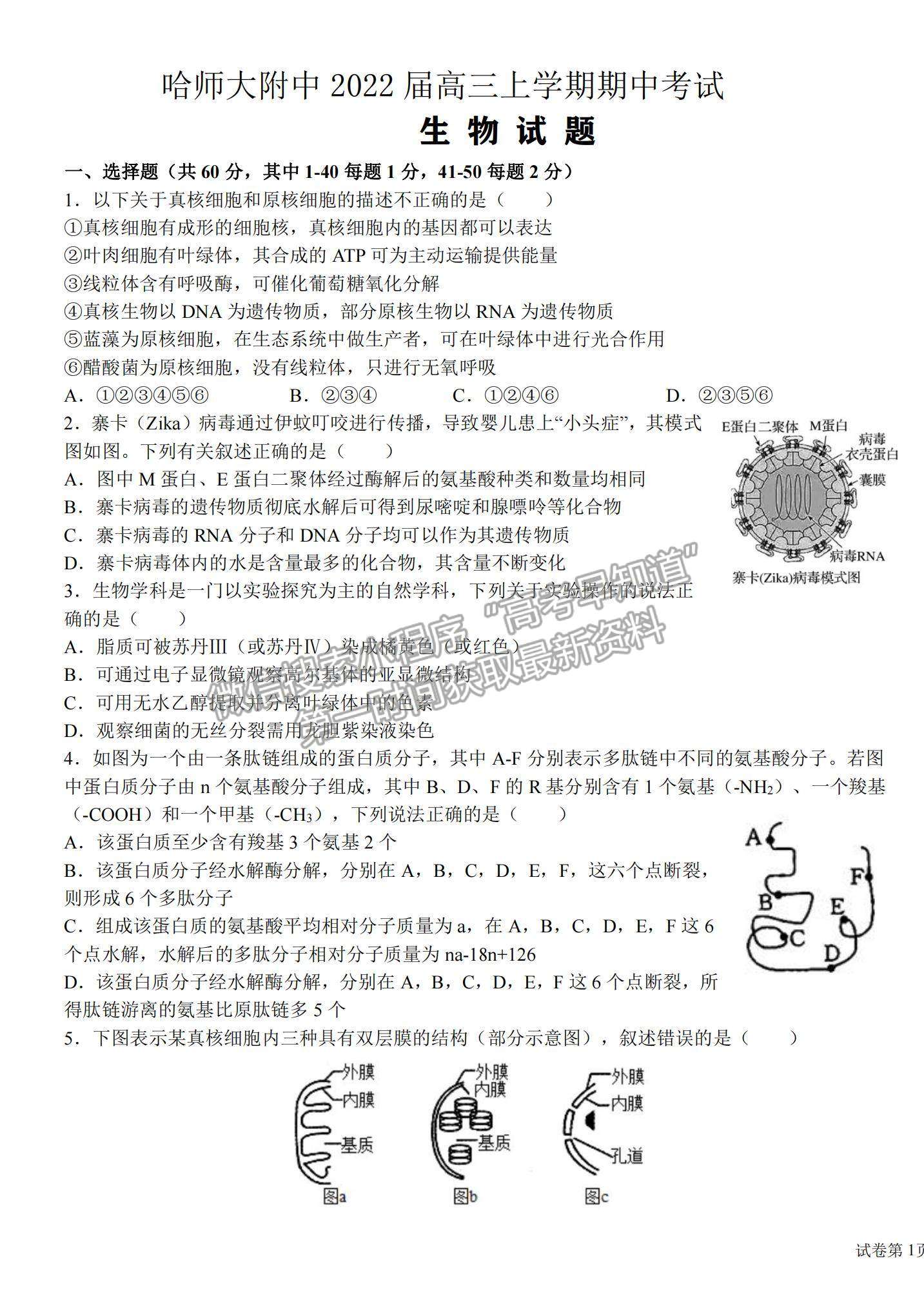 2022哈師大附中高三上學期期中考試生物試題及參考答案