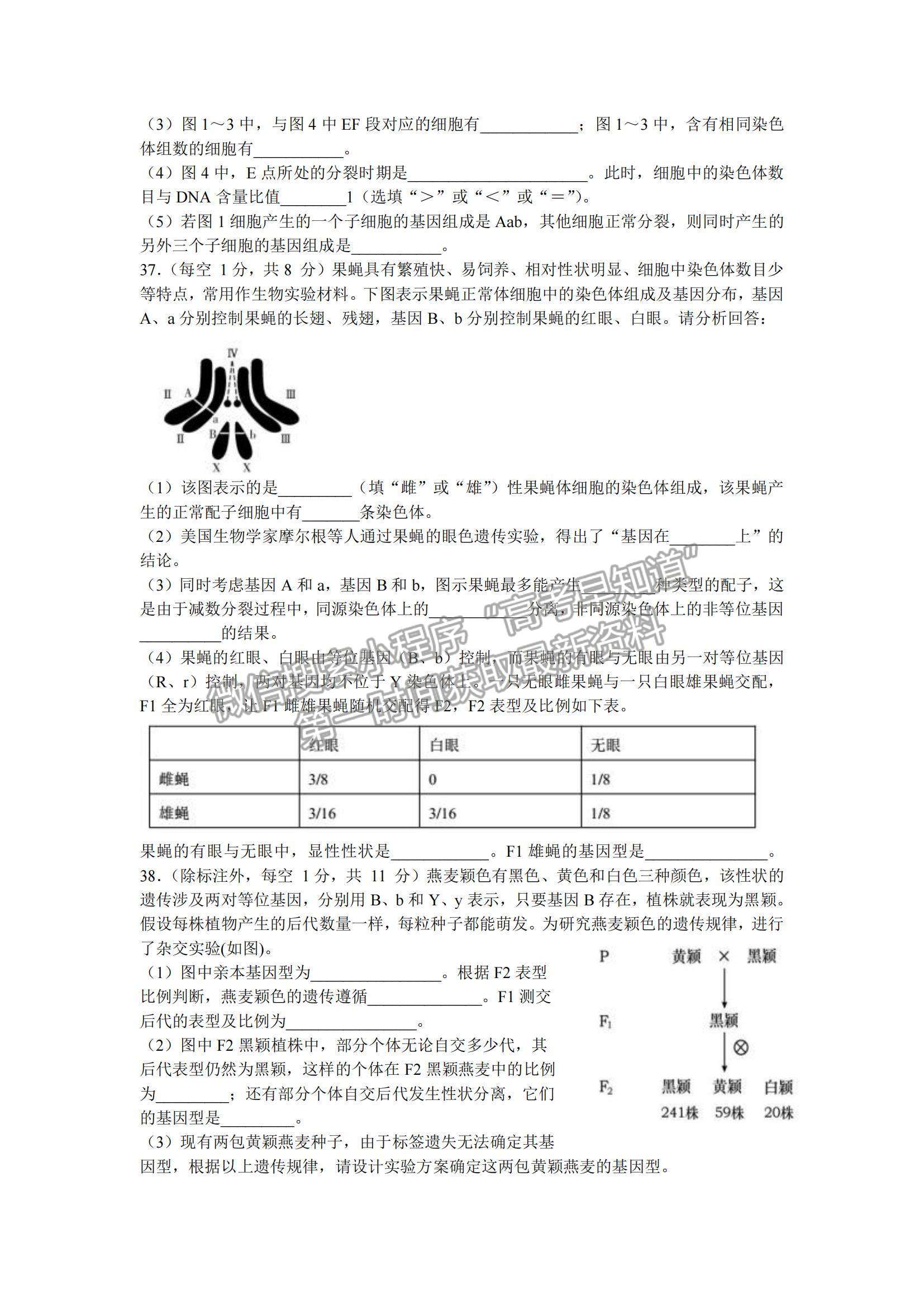 2022甘肅省蘭州第一中學高二上學期期中考試生物（理）試題及參考答案