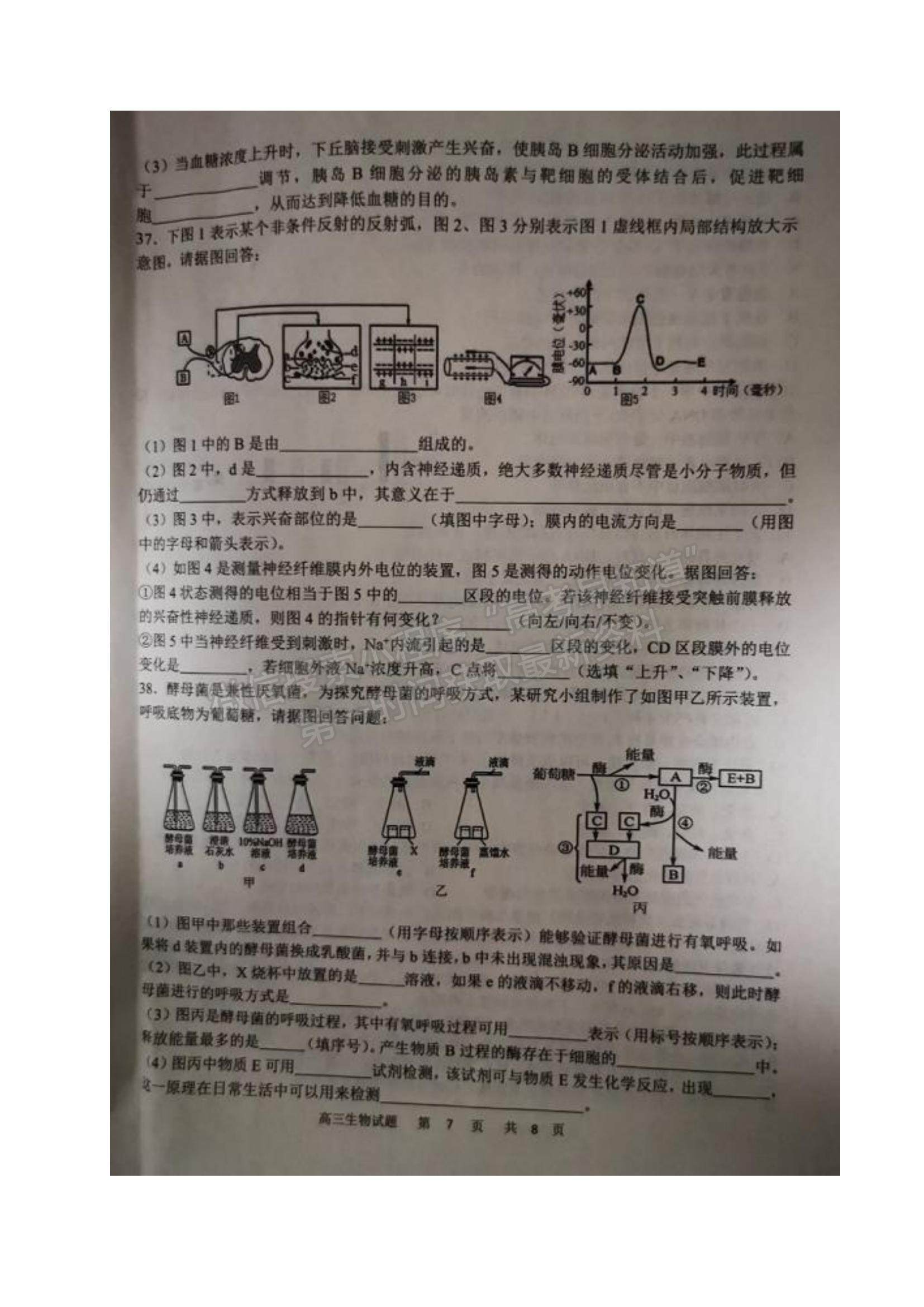 2022黑龍江省牡丹江市第一高級中學(xué)高三上學(xué)期期中考試生物試題及參考答案