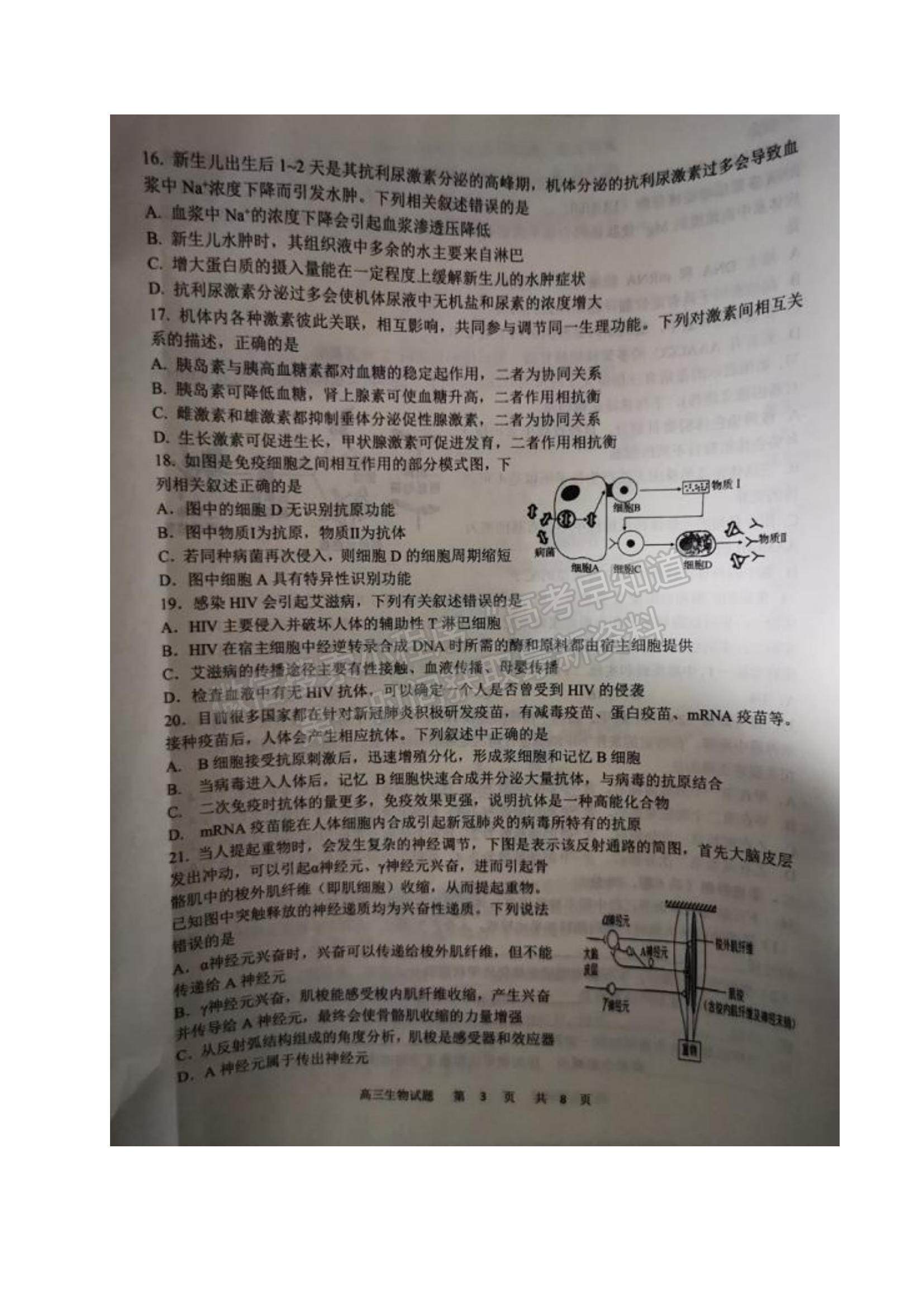 2022黑龍江省牡丹江市第一高級(jí)中學(xué)高三上學(xué)期期中考試生物試題及參考答案