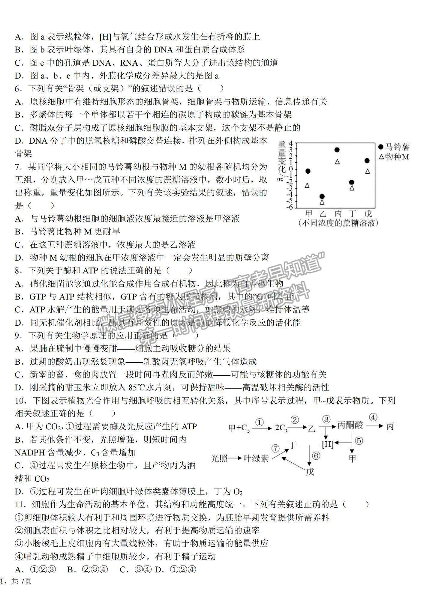 2022哈師大附中高三上學期期中考試生物試題及參考答案