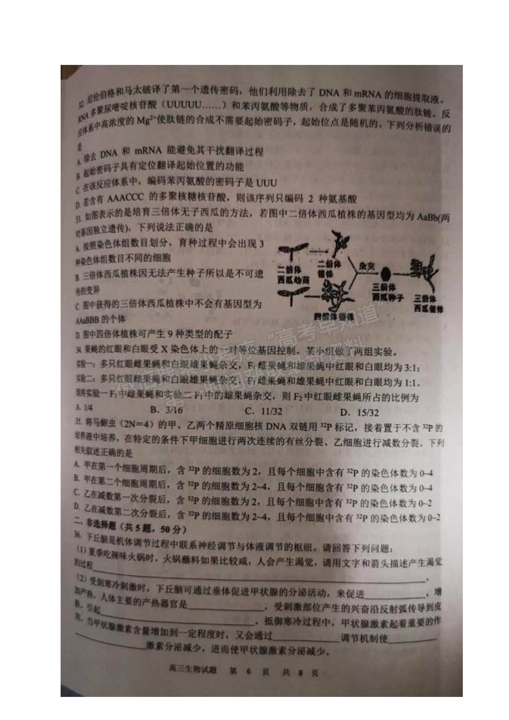 2022黑龍江省牡丹江市第一高級中學(xué)高三上學(xué)期期中考試生物試題及參考答案