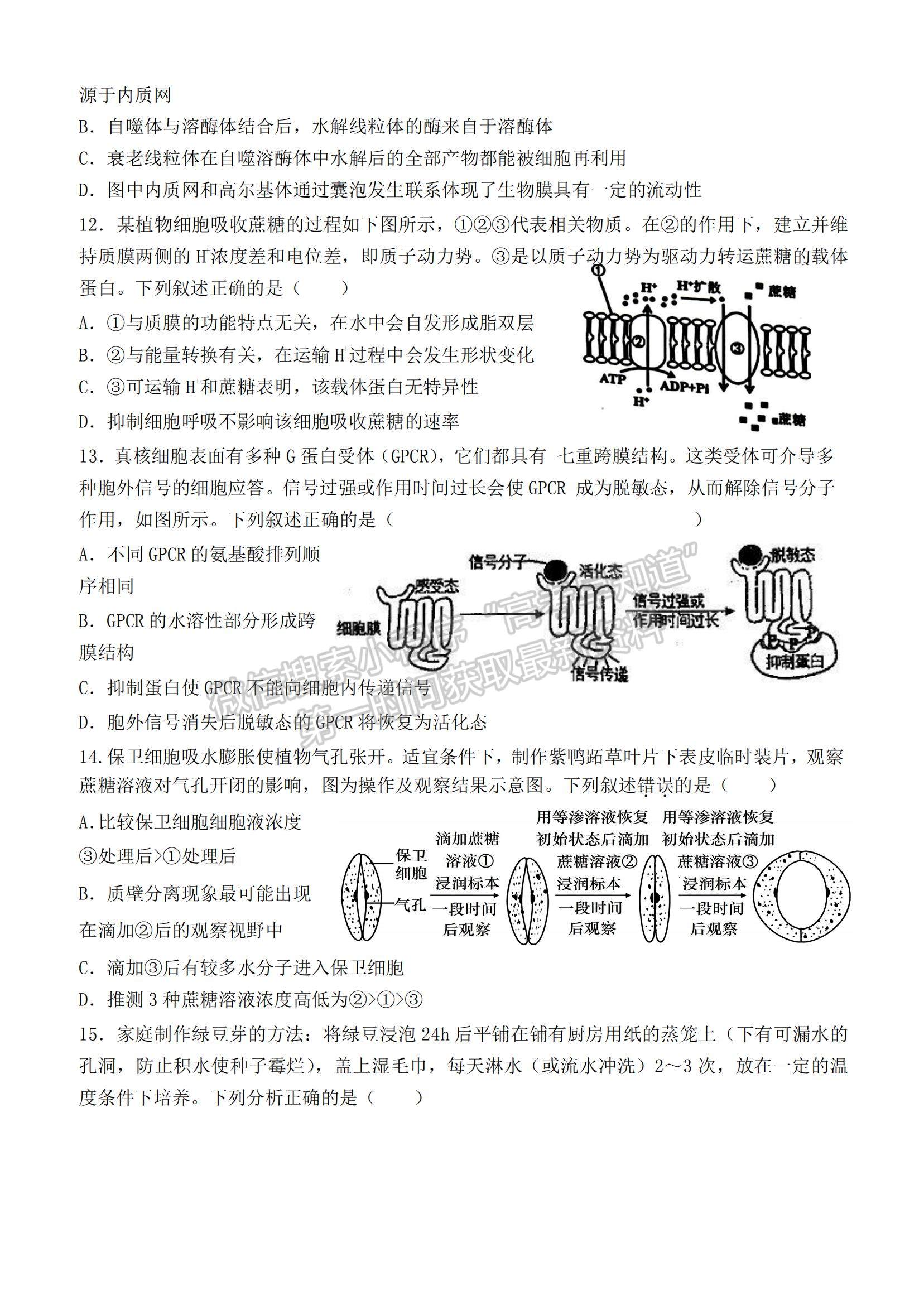 2022黑龍江省哈爾濱德強學校高三上學期期中考試生物試題及參考答案