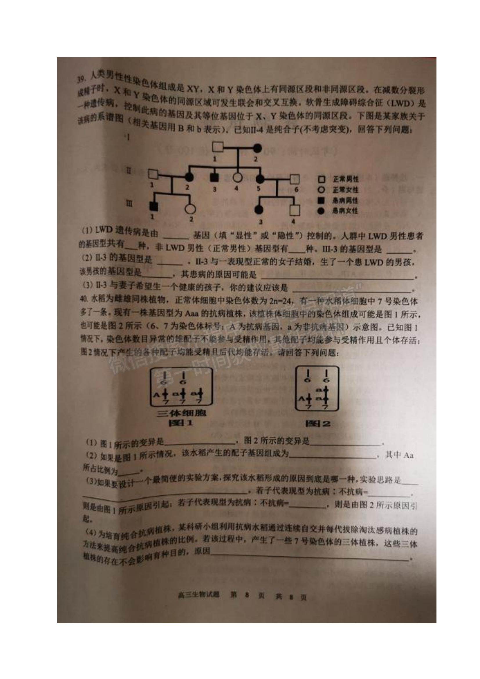 2022黑龍江省牡丹江市第一高級中學(xué)高三上學(xué)期期中考試生物試題及參考答案