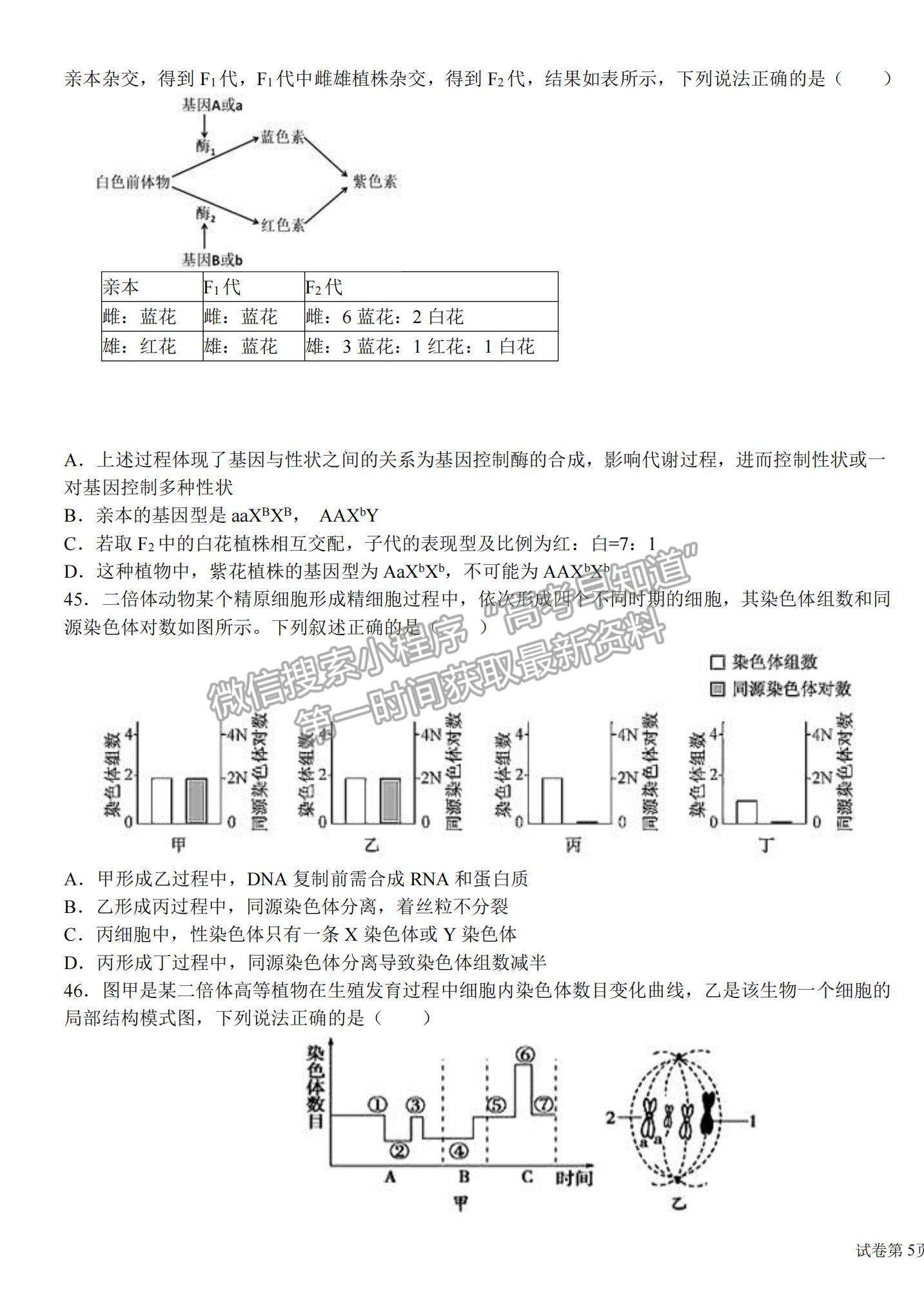 2022哈師大附中高三上學期期中考試生物試題及參考答案