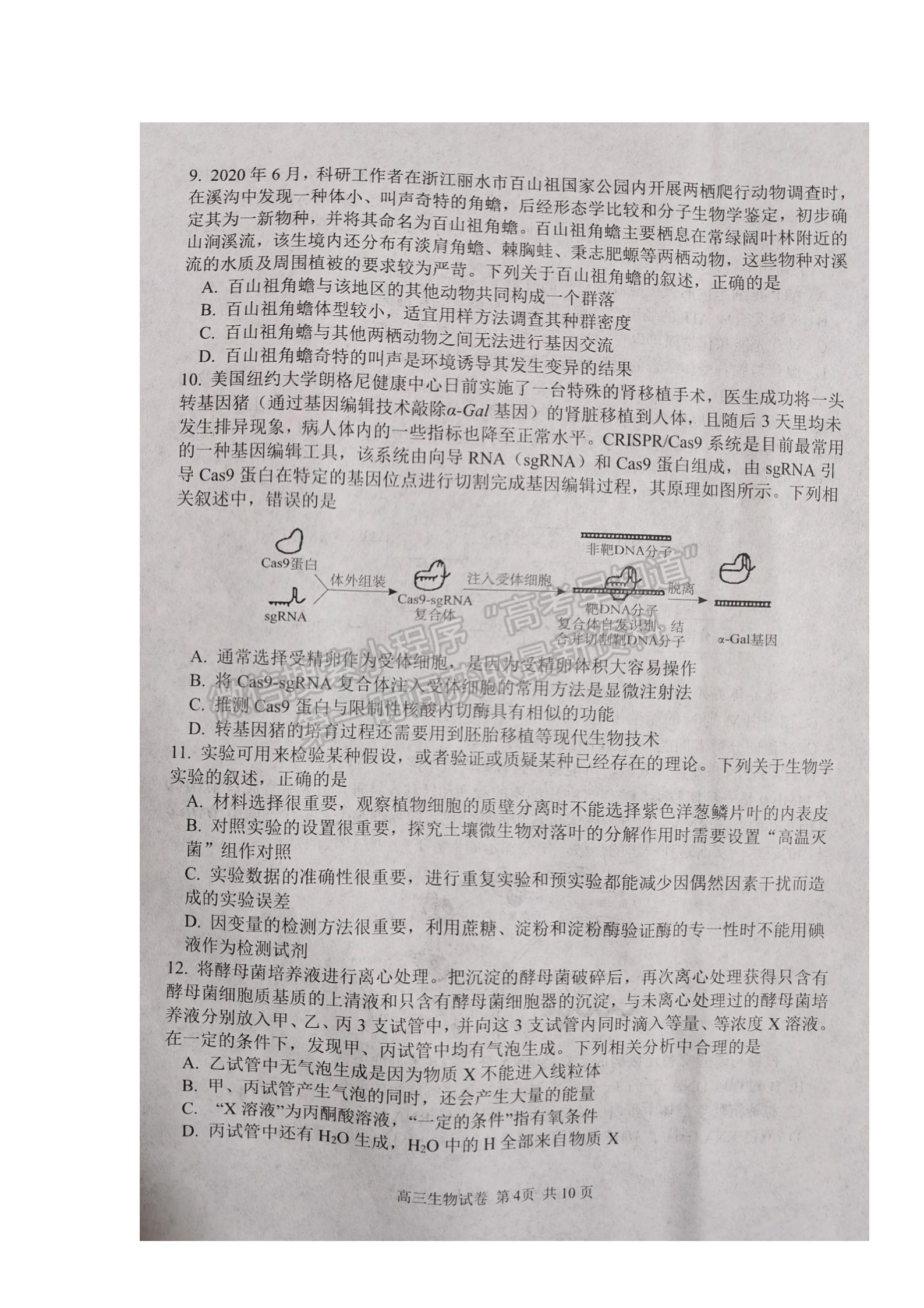 2022騰云聯(lián)盟高三12月聯(lián)考生物試卷及答案