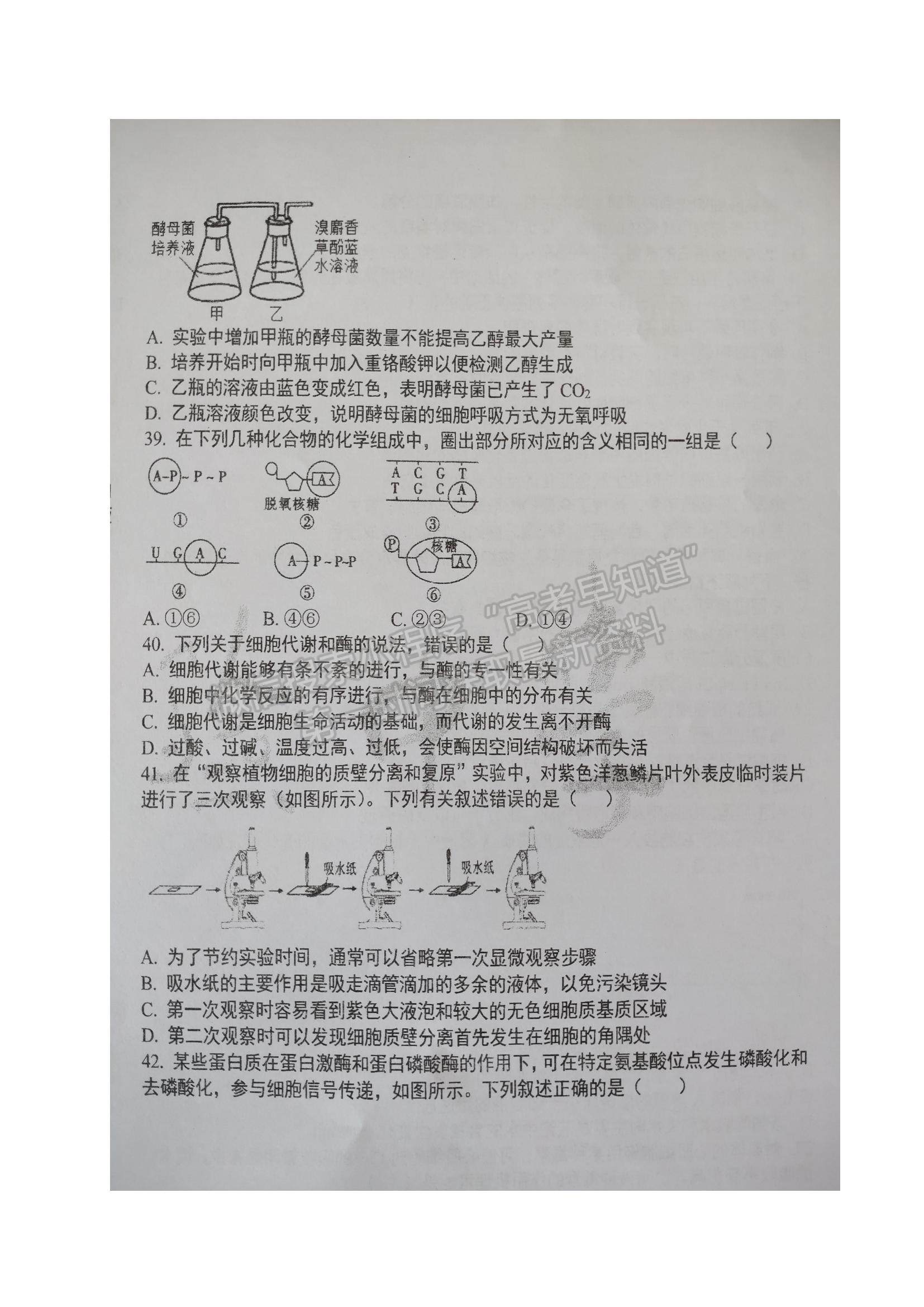 2022黑龍江省大慶實驗中學高一上學期期中考試生物試題及參考答案