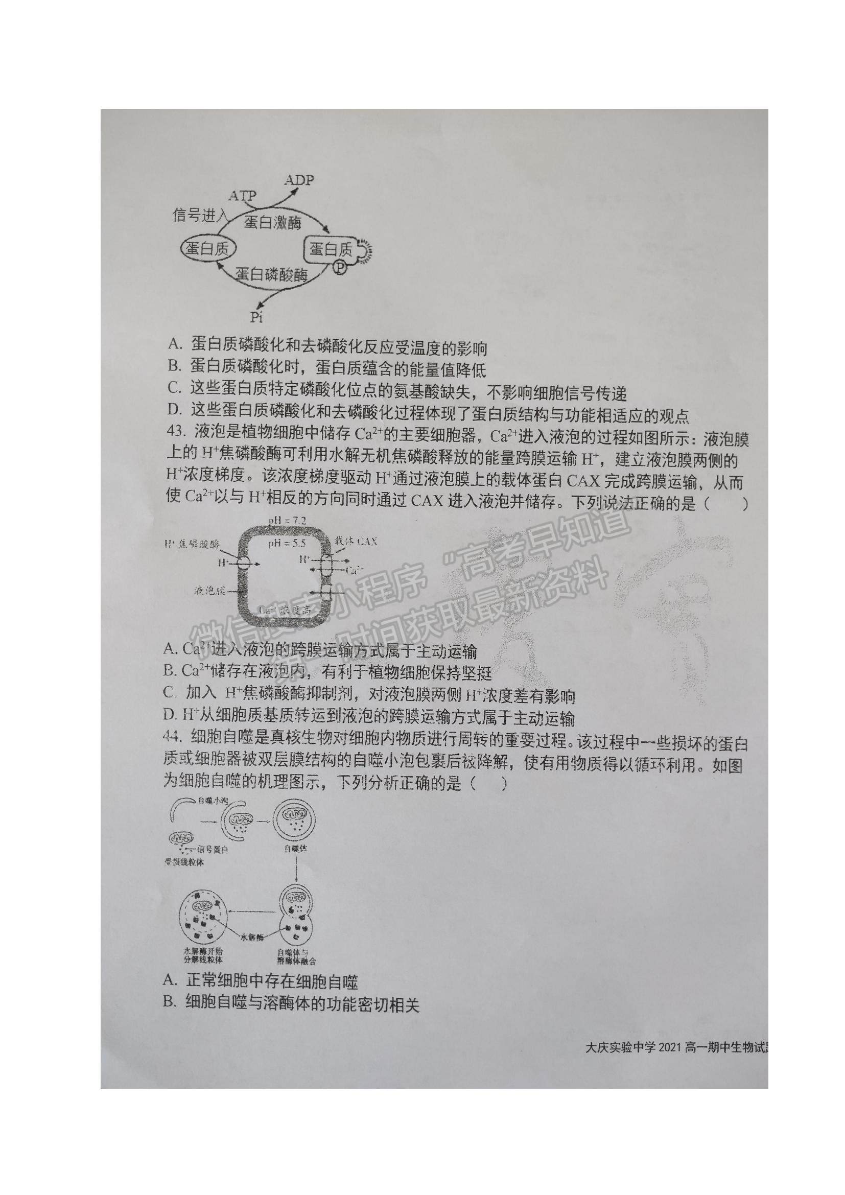 2022黑龍江省大慶實驗中學高一上學期期中考試生物試題及參考答案