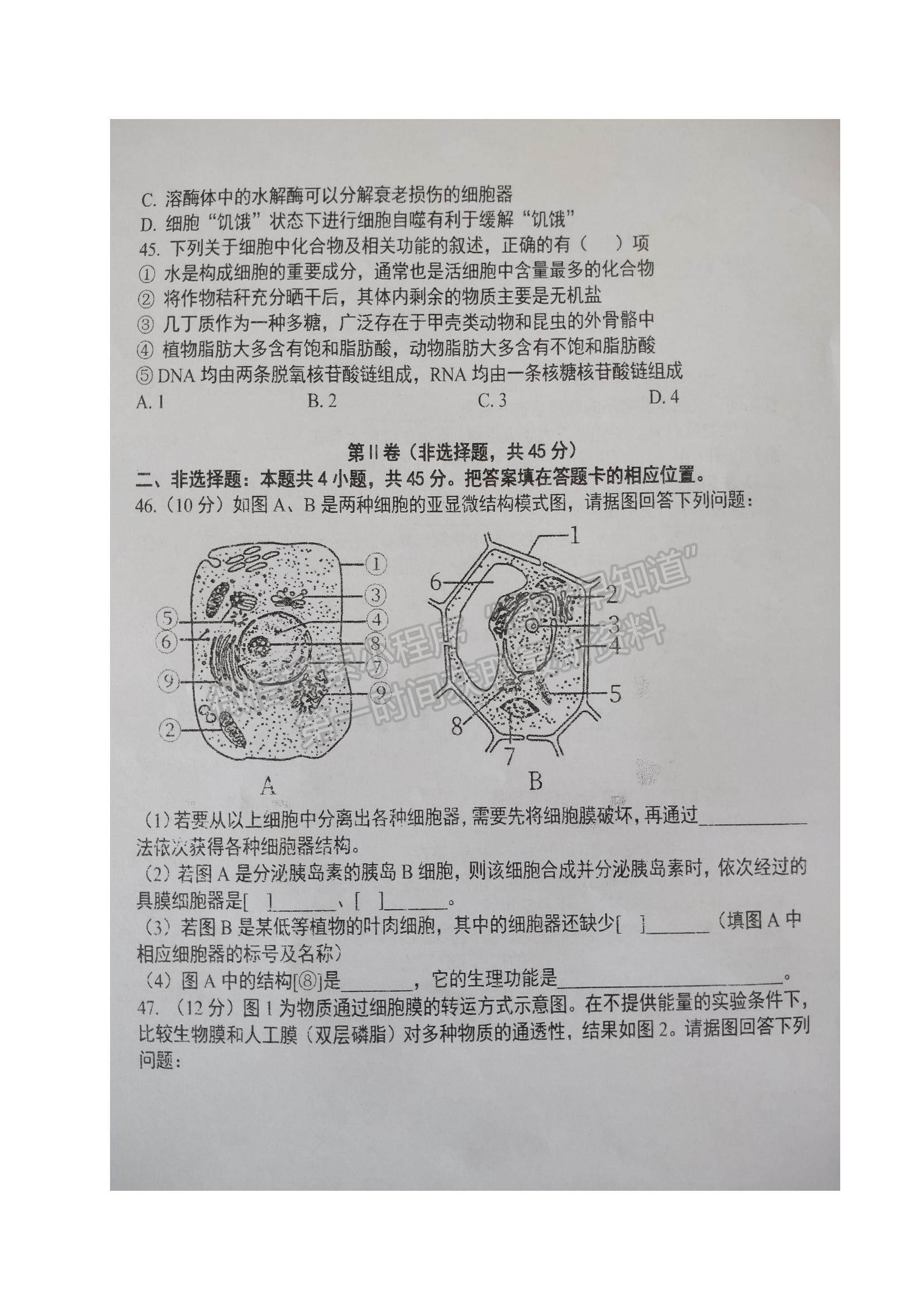 2022黑龍江省大慶實驗中學(xué)高一上學(xué)期期中考試生物試題及參考答案