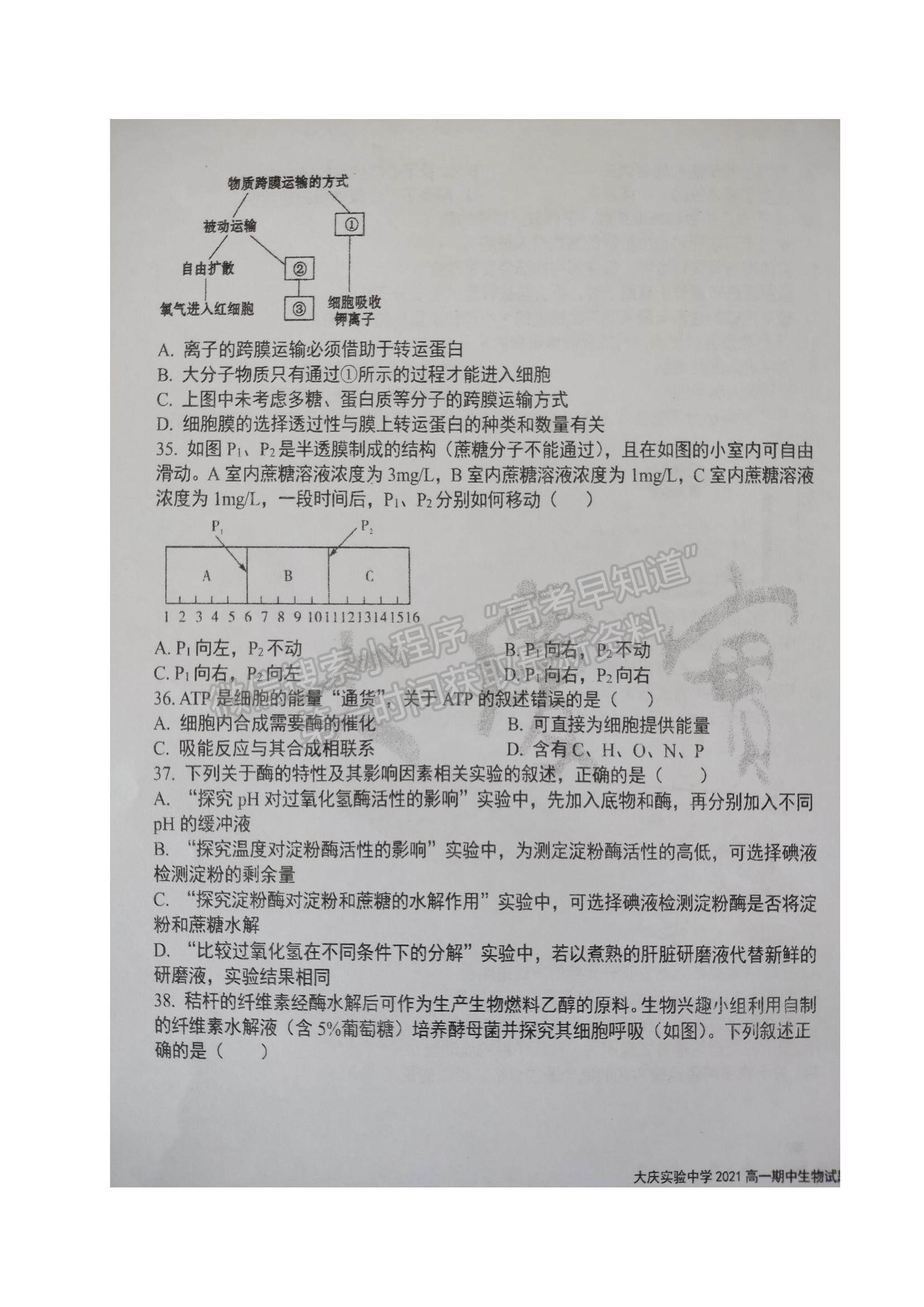 2022黑龍江省大慶實驗中學高一上學期期中考試生物試題及參考答案