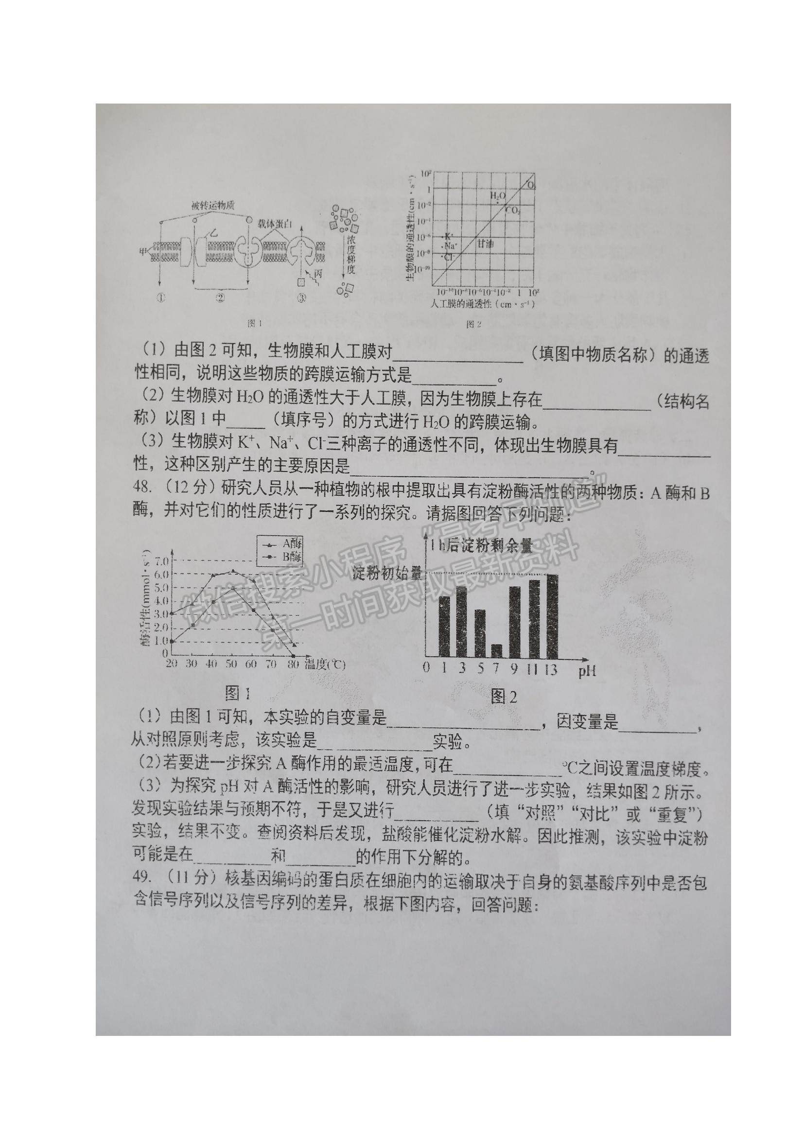 2022黑龍江省大慶實驗中學(xué)高一上學(xué)期期中考試生物試題及參考答案