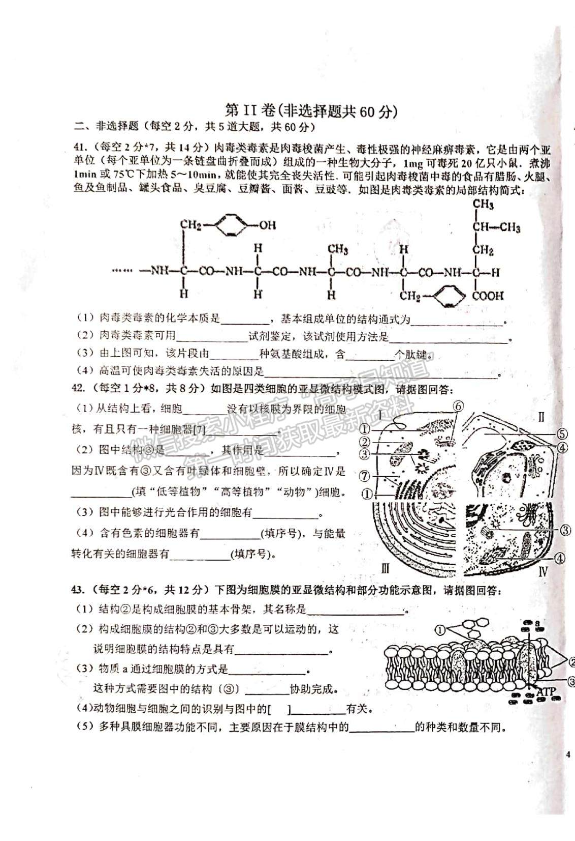 2022新疆烏蘇市第一中學(xué)高二12月月考試題生物（平行班）試題及參考答案