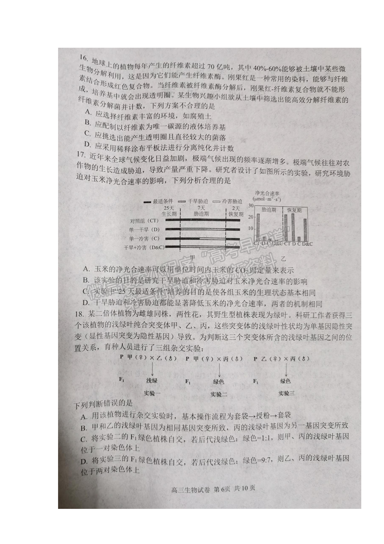 2022騰云聯(lián)盟高三12月聯(lián)考生物試卷及答案