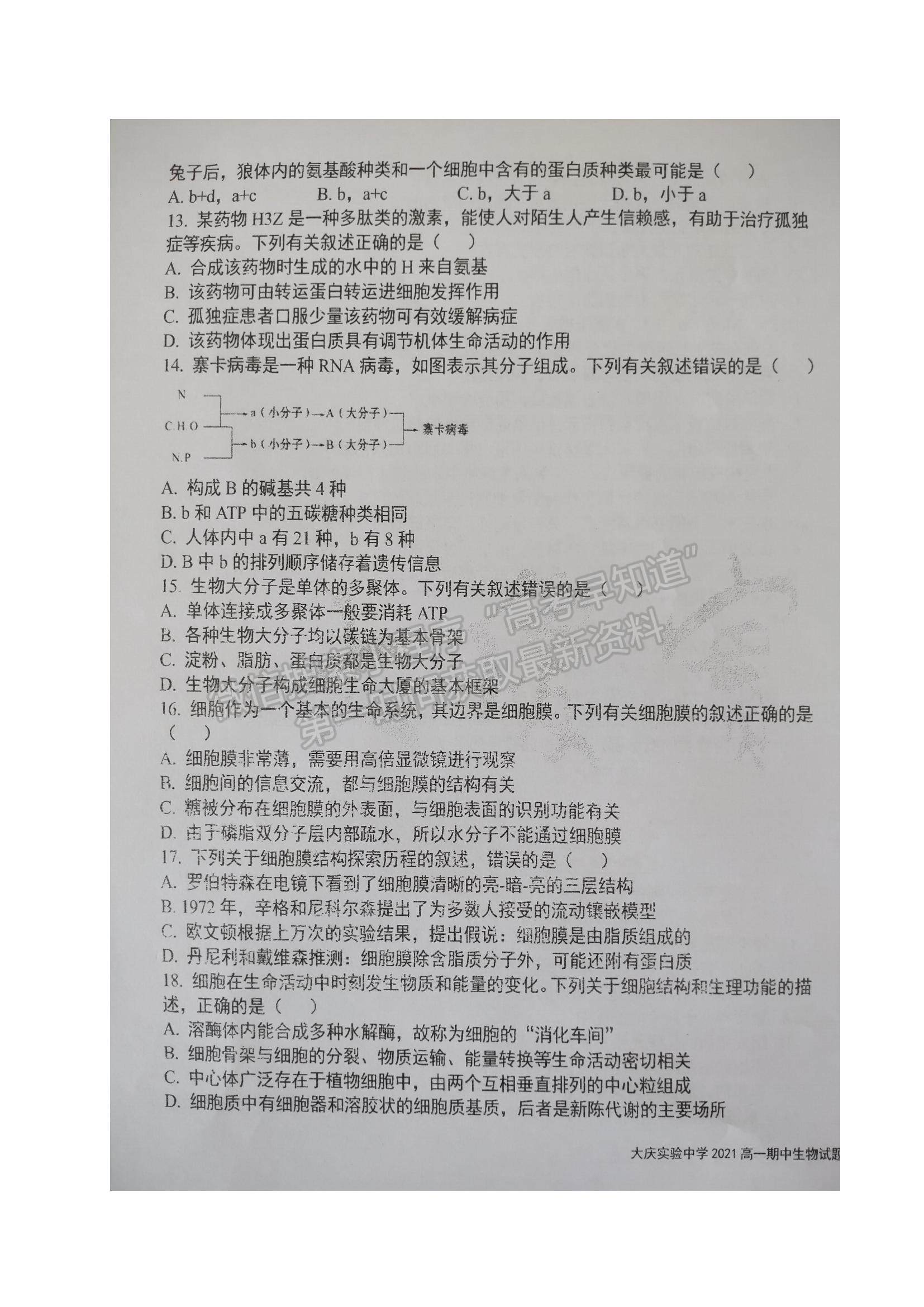 2022黑龍江省大慶實驗中學(xué)高一上學(xué)期期中考試生物試題及參考答案