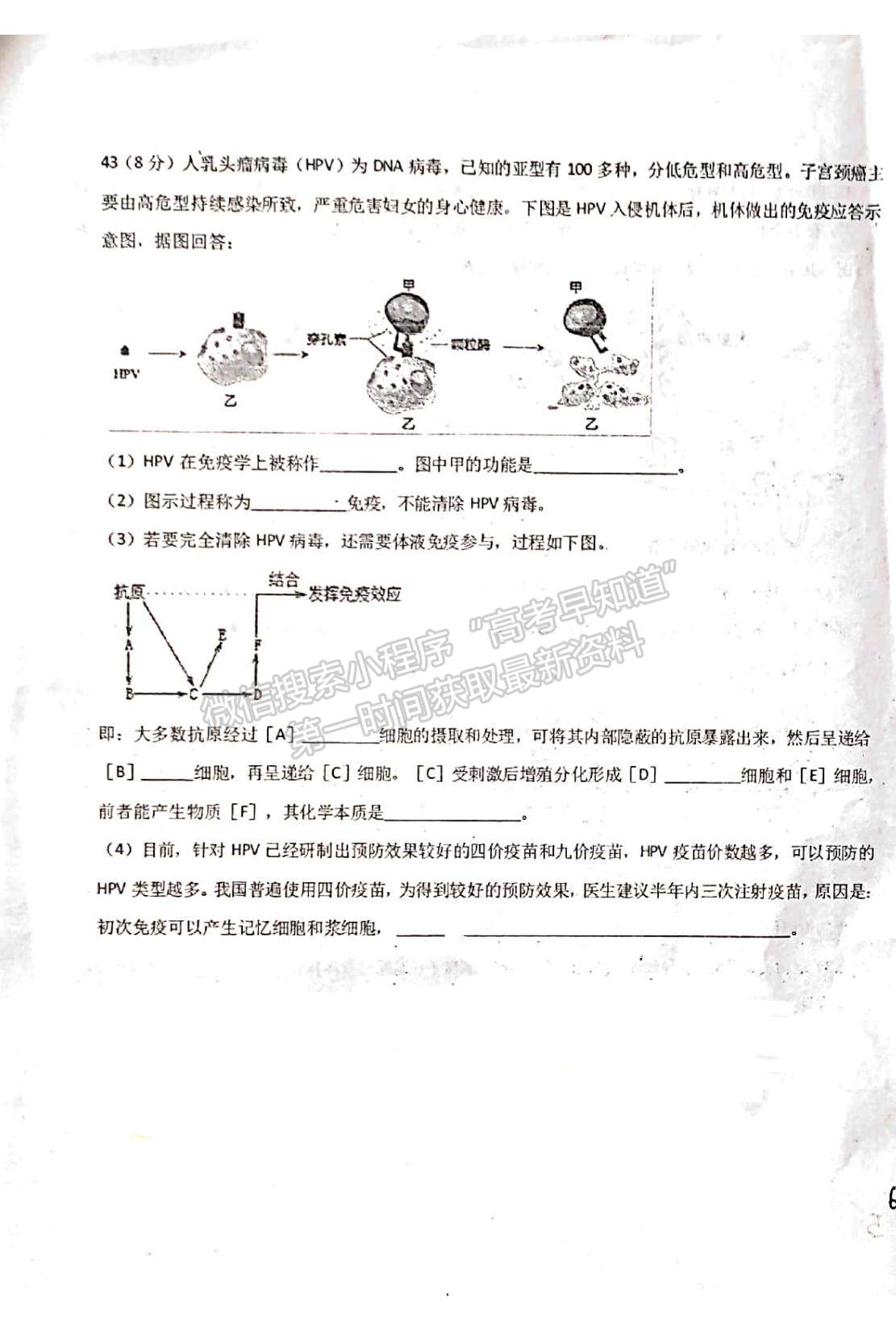 2022新疆烏蘇市第一中學(xué)高二12月月考試題生物（加強(qiáng)班）試題及參考答案