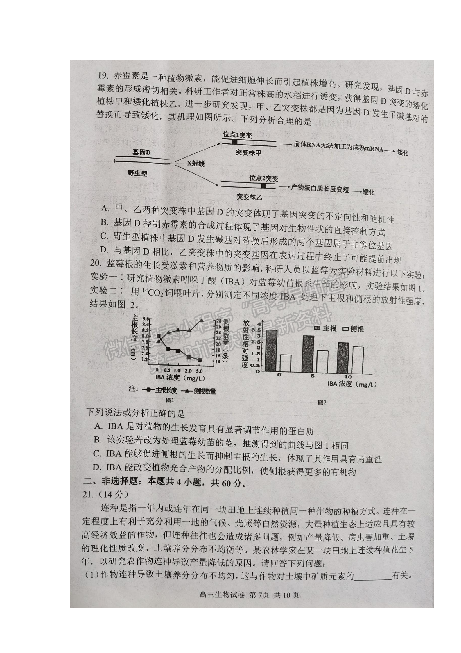 2022騰云聯(lián)盟高三12月聯(lián)考生物試卷及答案