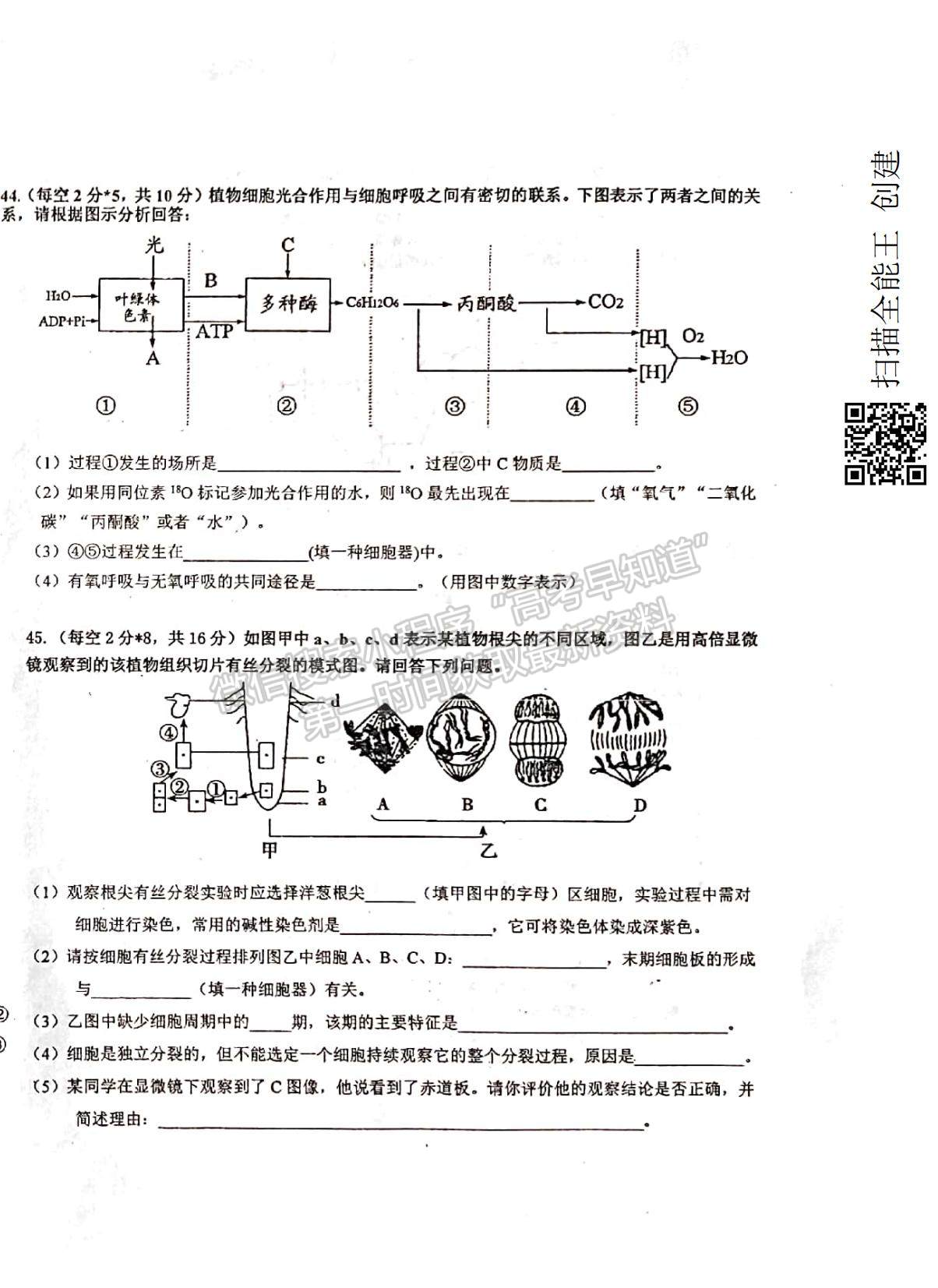 2022新疆烏蘇市第一中學(xué)高二12月月考試題生物（平行班）試題及參考答案