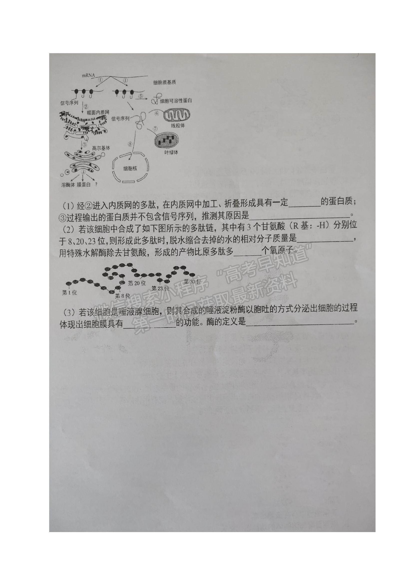 2022黑龍江省大慶實(shí)驗(yàn)中學(xué)高一上學(xué)期期中考試生物試題及參考答案