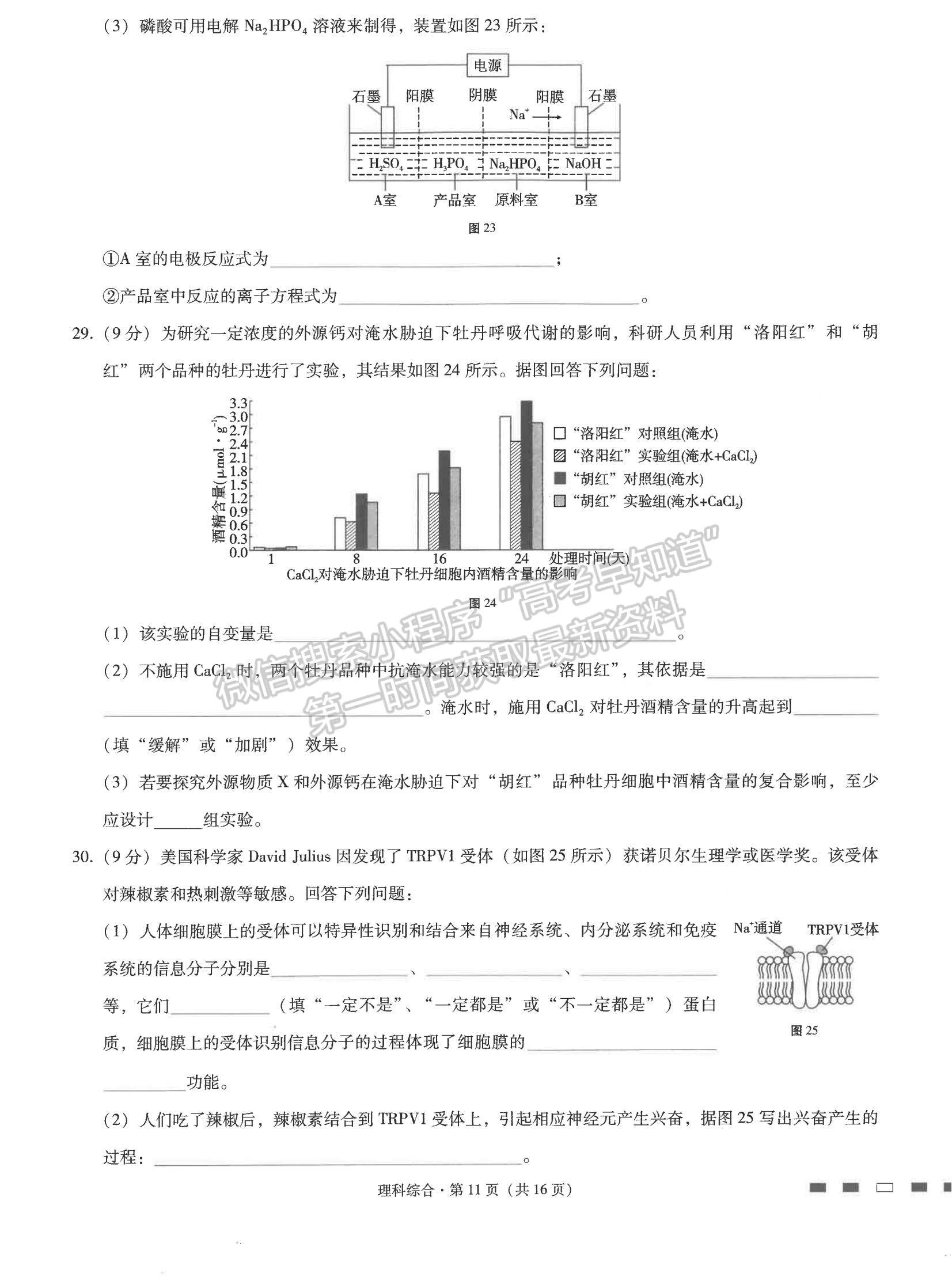 2022云師大附中高考適應(yīng)性月考卷（六）理綜試題及參考答案