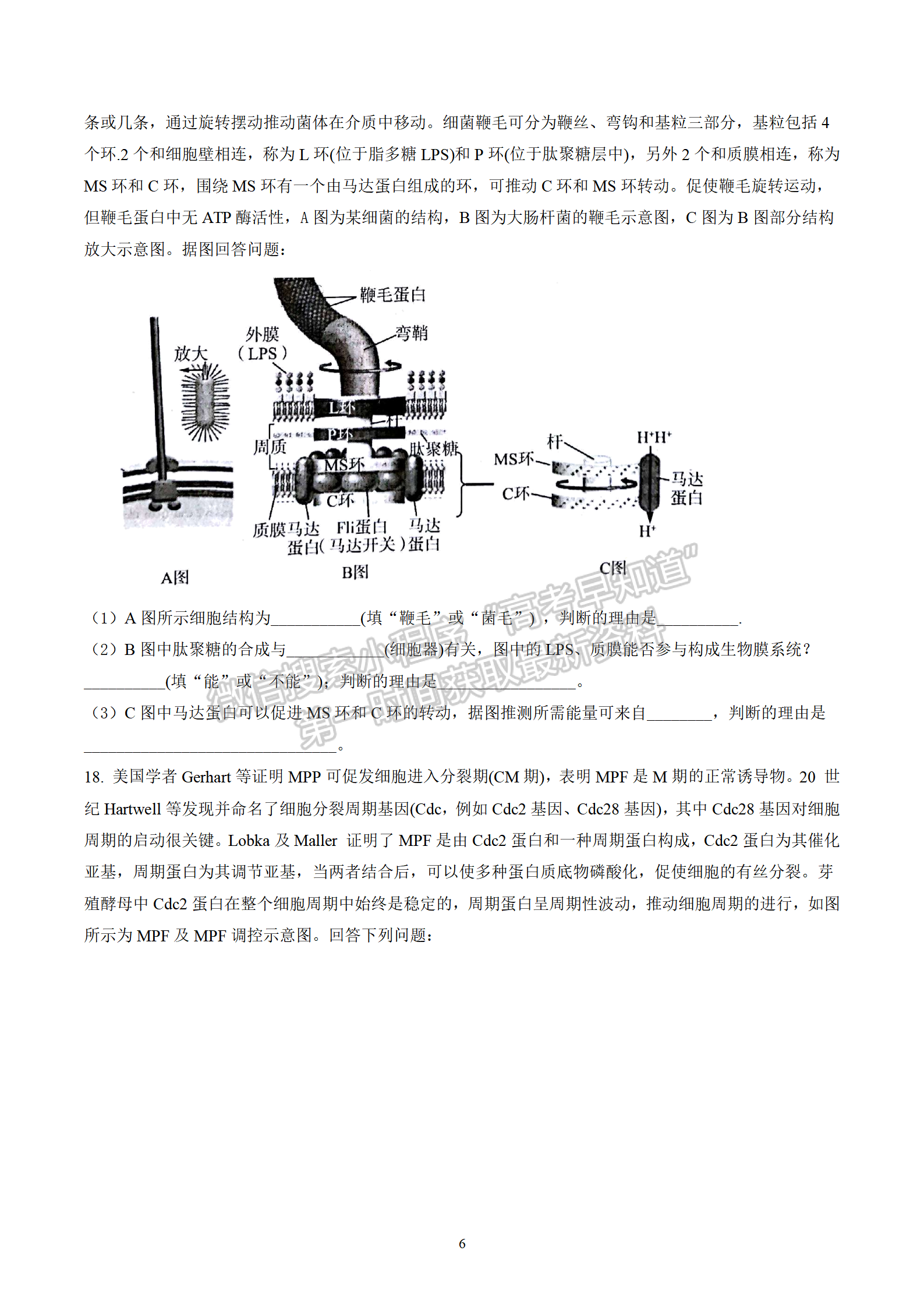 2022屆長沙同升湖實(shí)驗(yàn)學(xué)校高三月考（三）生物試題及答案