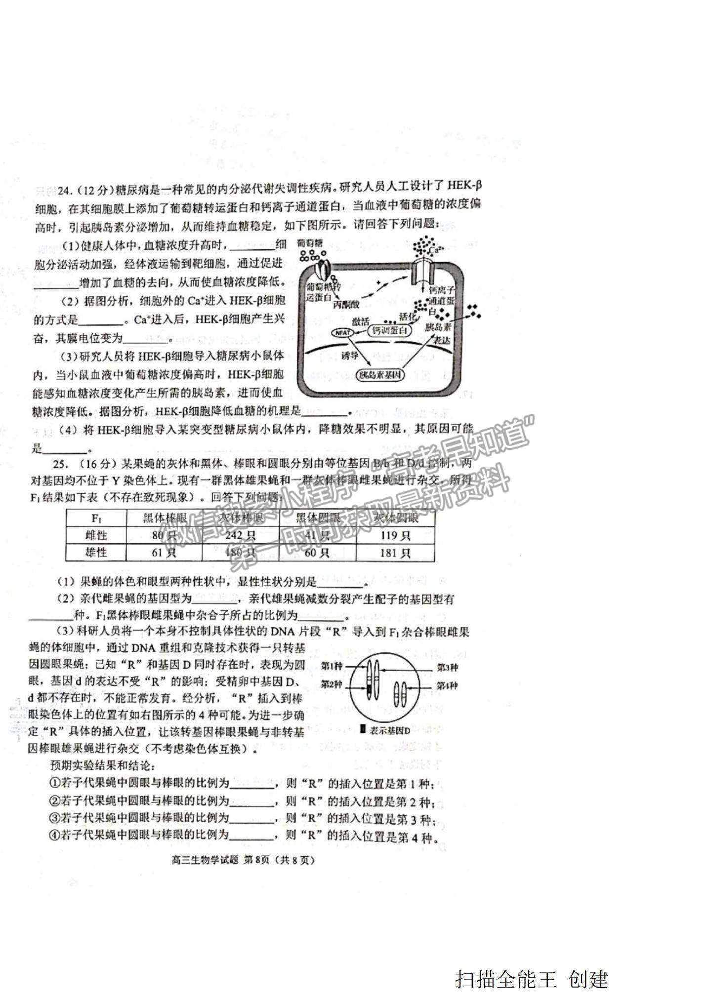 2022山東省日照市高三12月校際聯(lián)考生物試題及參考答案