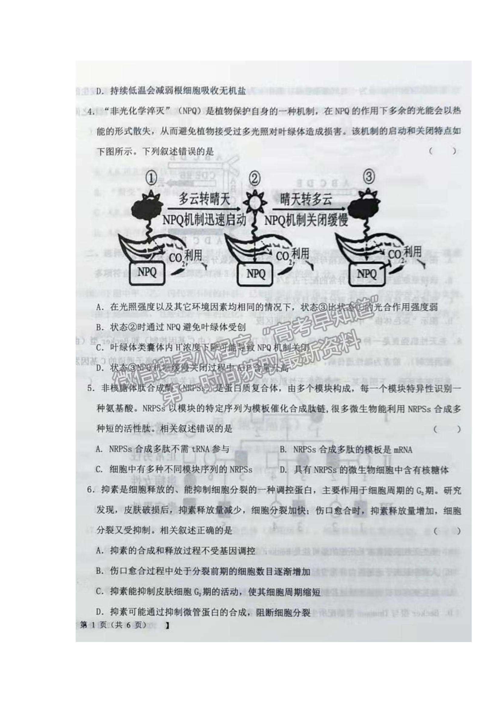 2022 遼寧鐵嶺六校高三12月月考生物試題及參考答案