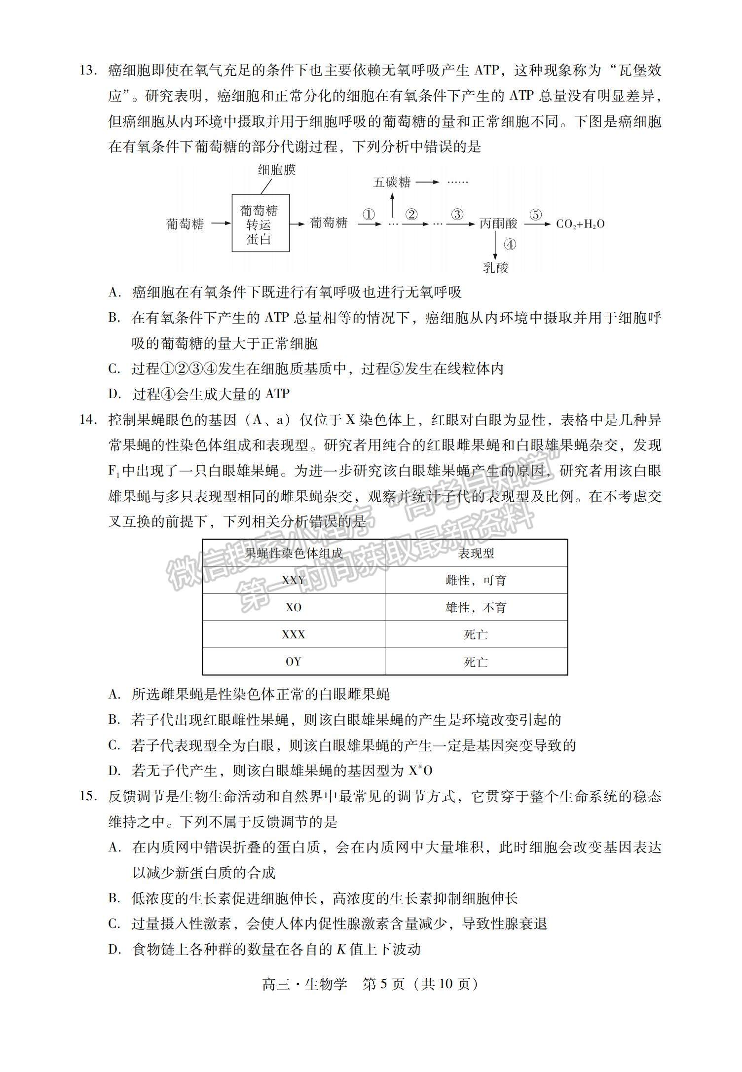 2022廣東茂名化州高三11月調(diào)研考生物試題及參考答案